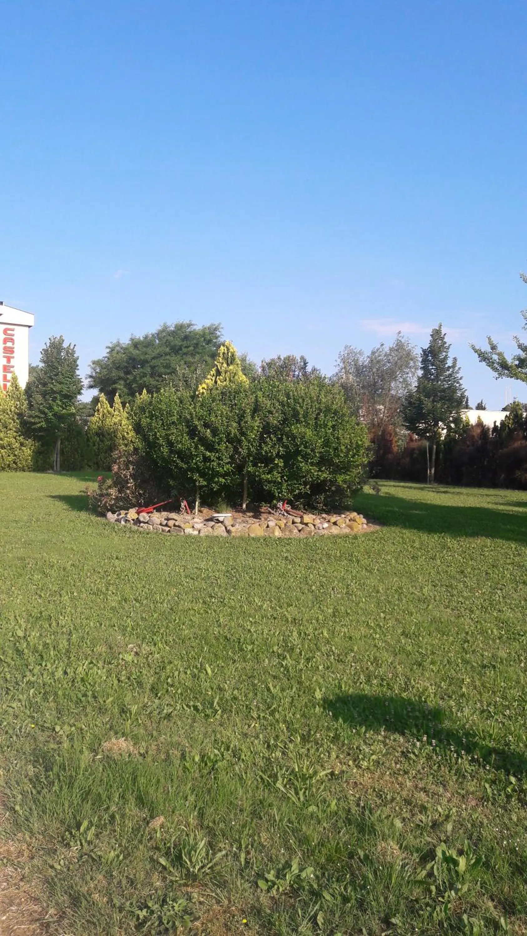 Garden view in Hotel Parigi