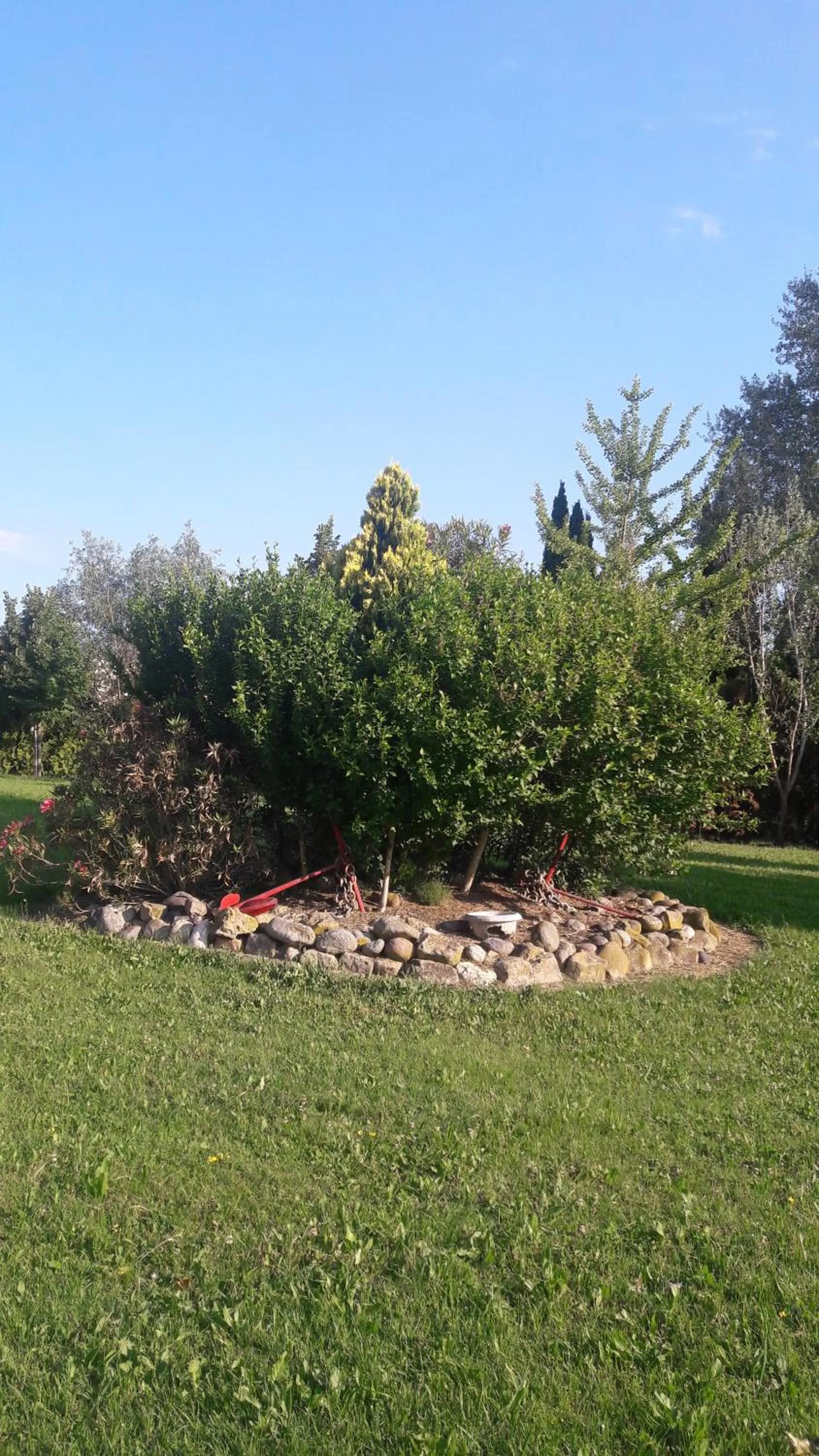 Garden view in Hotel Parigi