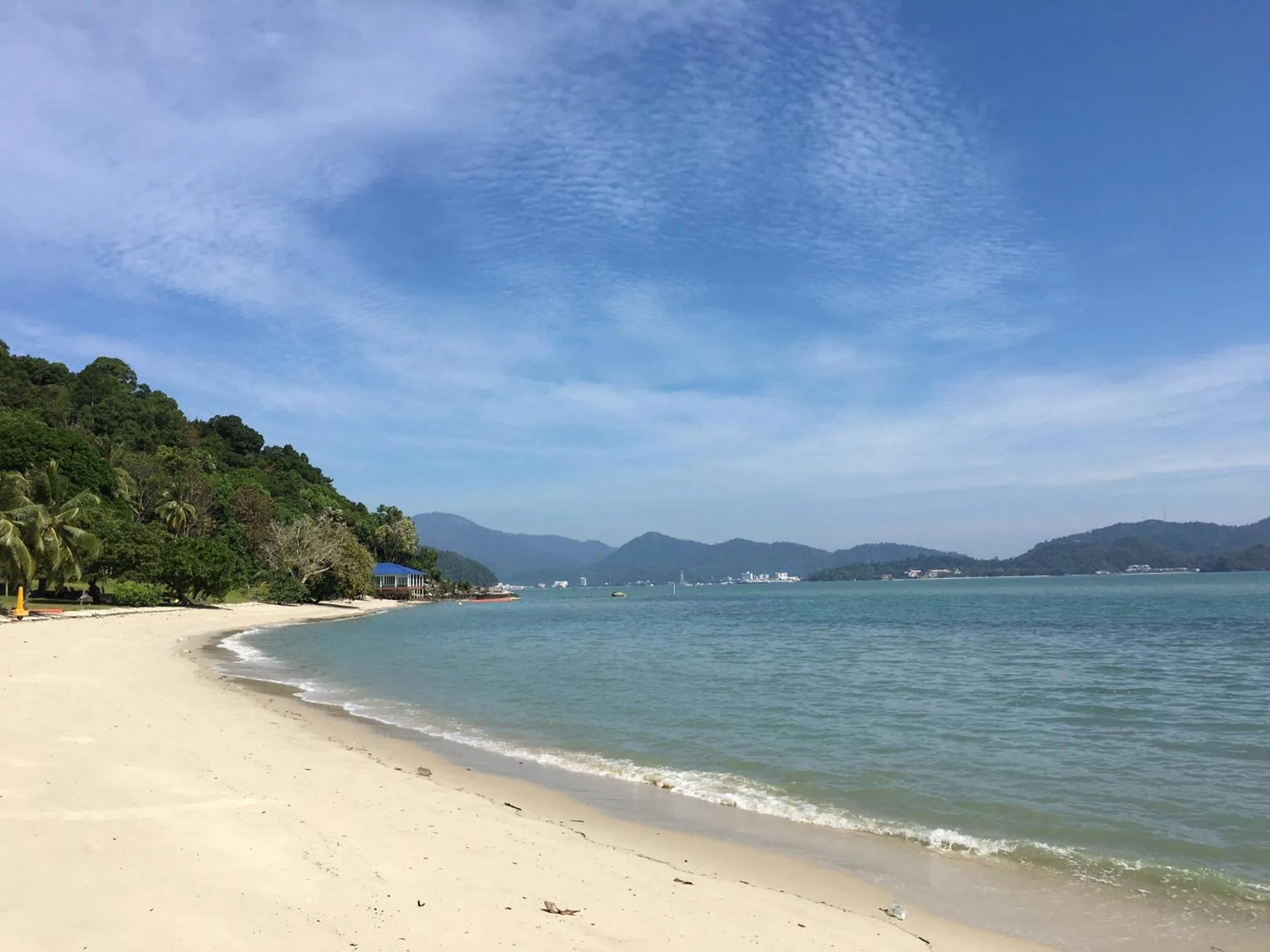 Natural landscape in Wild Pasir Panjang