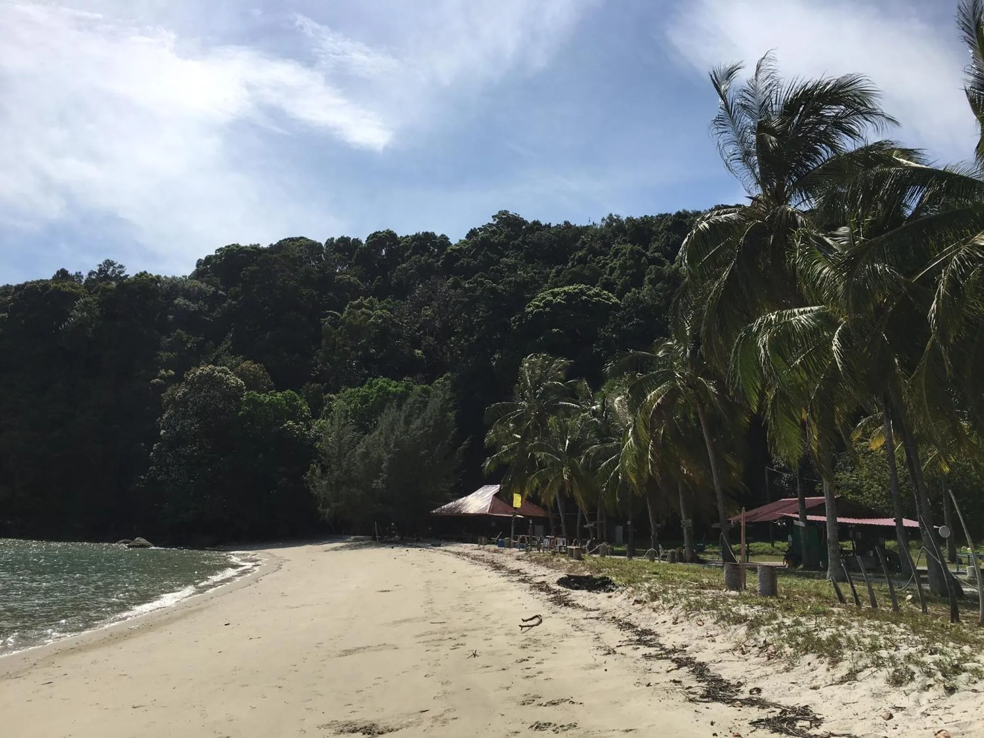 Beach in Wild Pasir Panjang