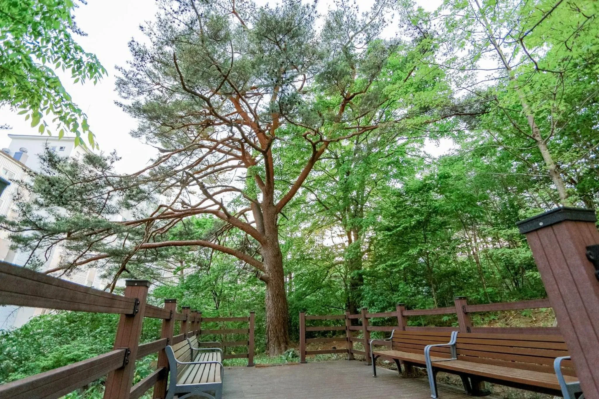 Pyeongchang I-One Resort