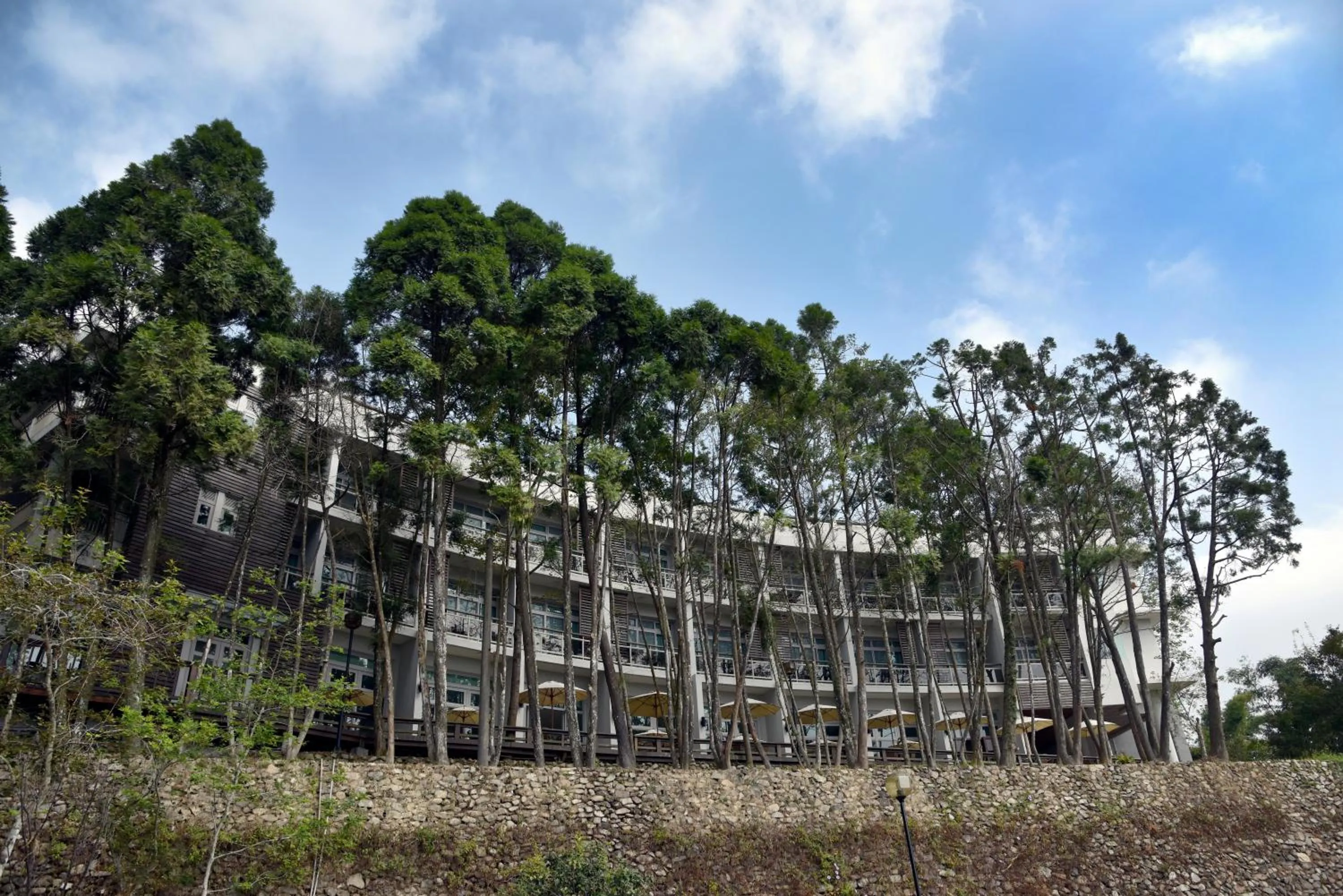 Property building in Sun Moon Lake Bamboo Rock Garden
