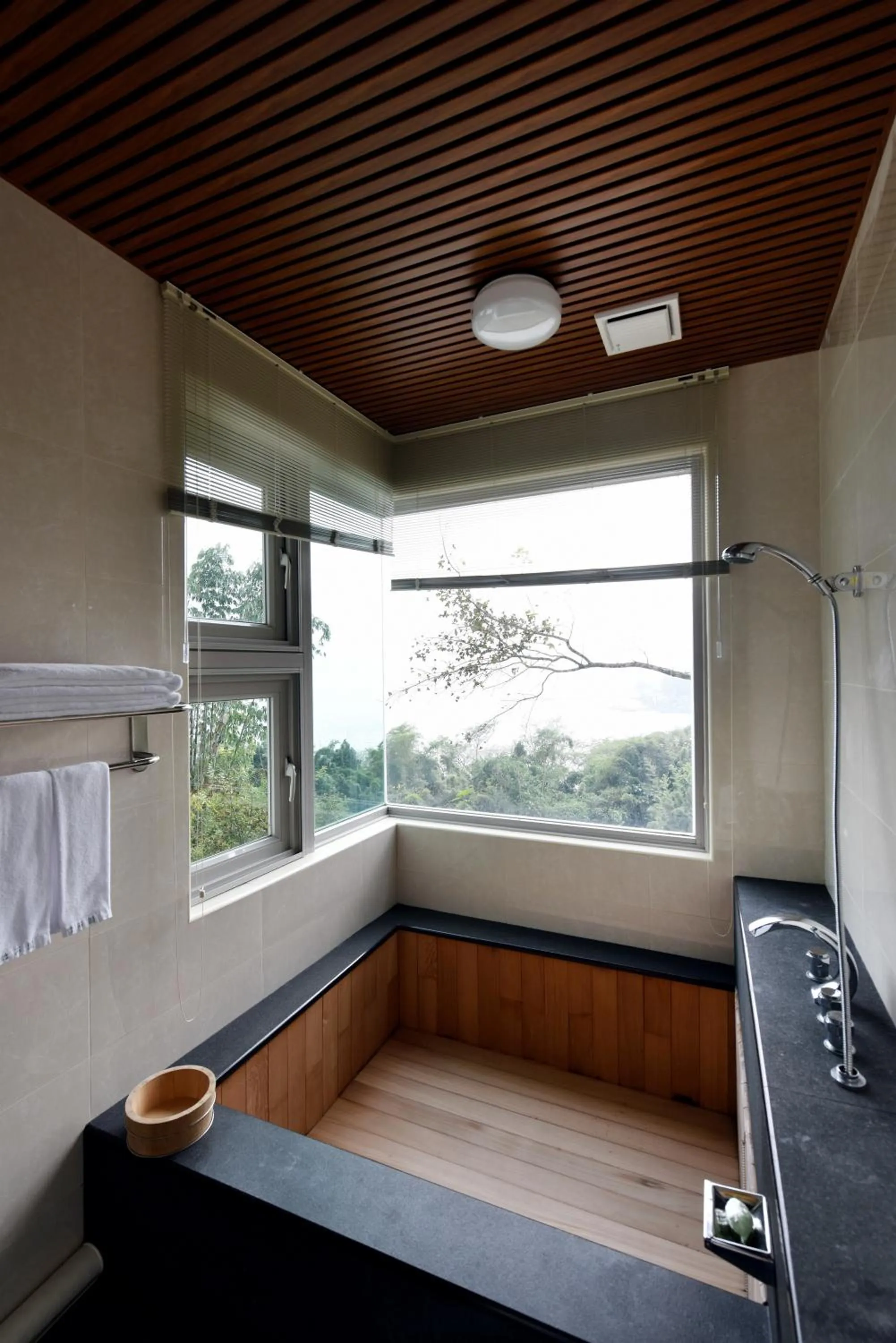 Bathroom in Sun Moon Lake Bamboo Rock Garden