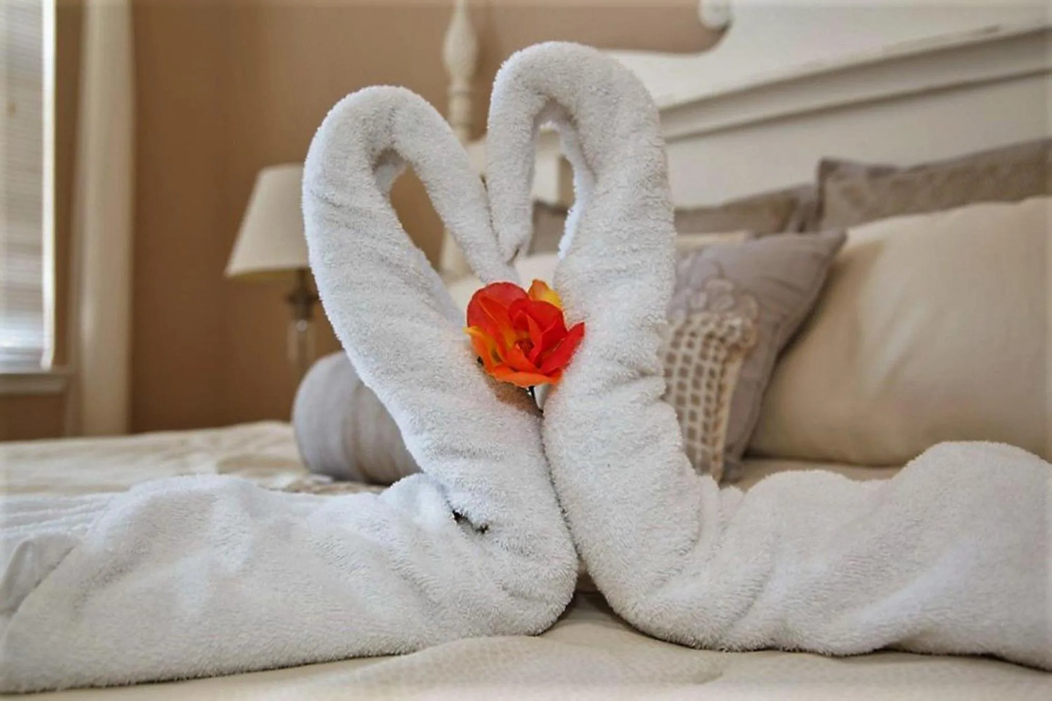 Bed in Pool Side Tree House