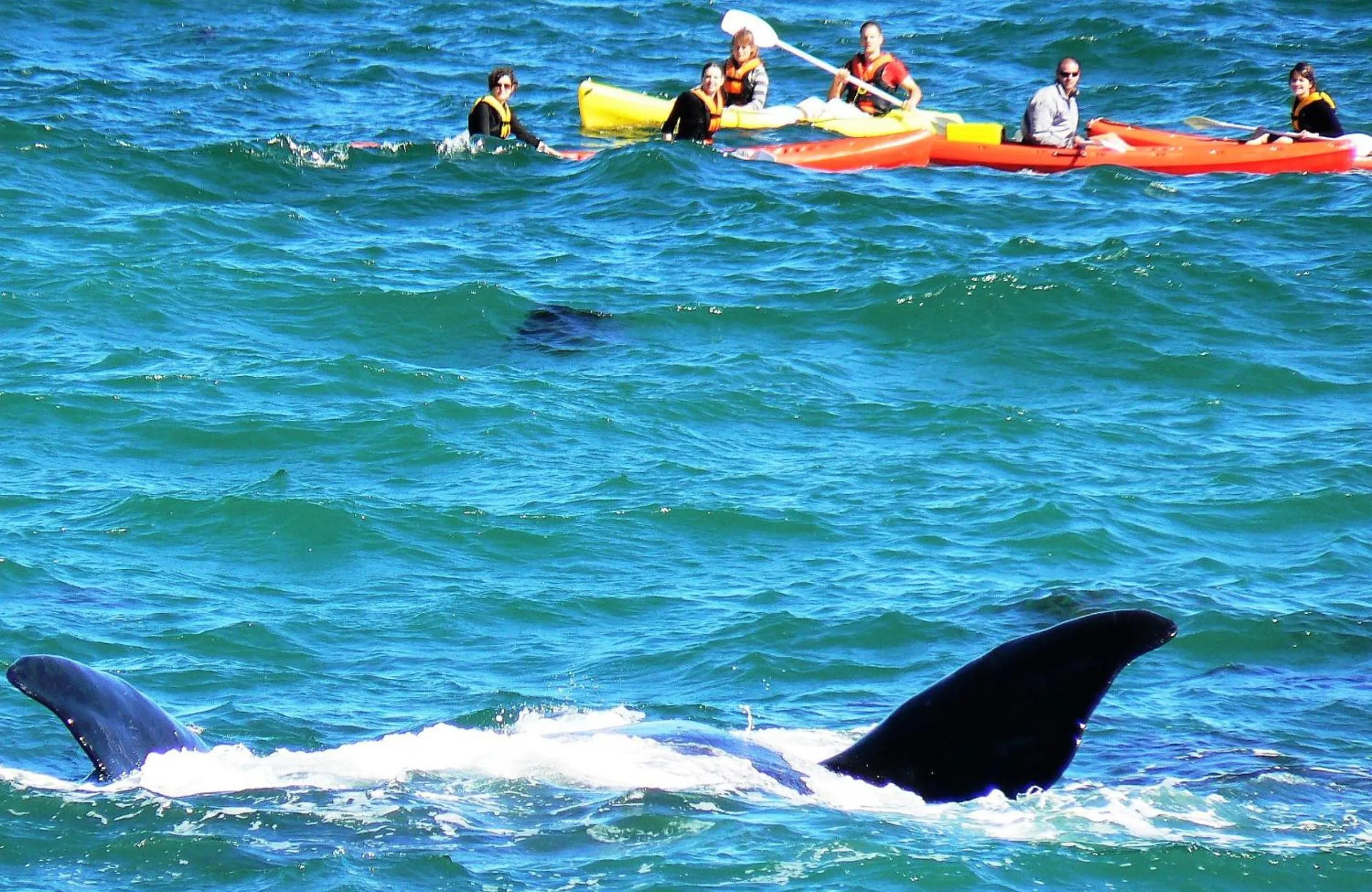 Activities in Misty Waves Boutique Hotel