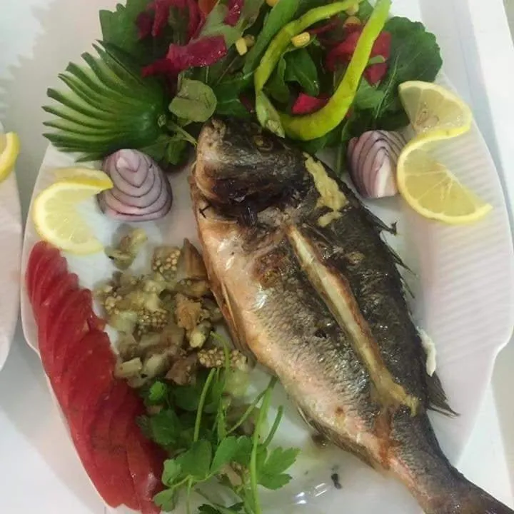 Food close-up in HD Miray Otel