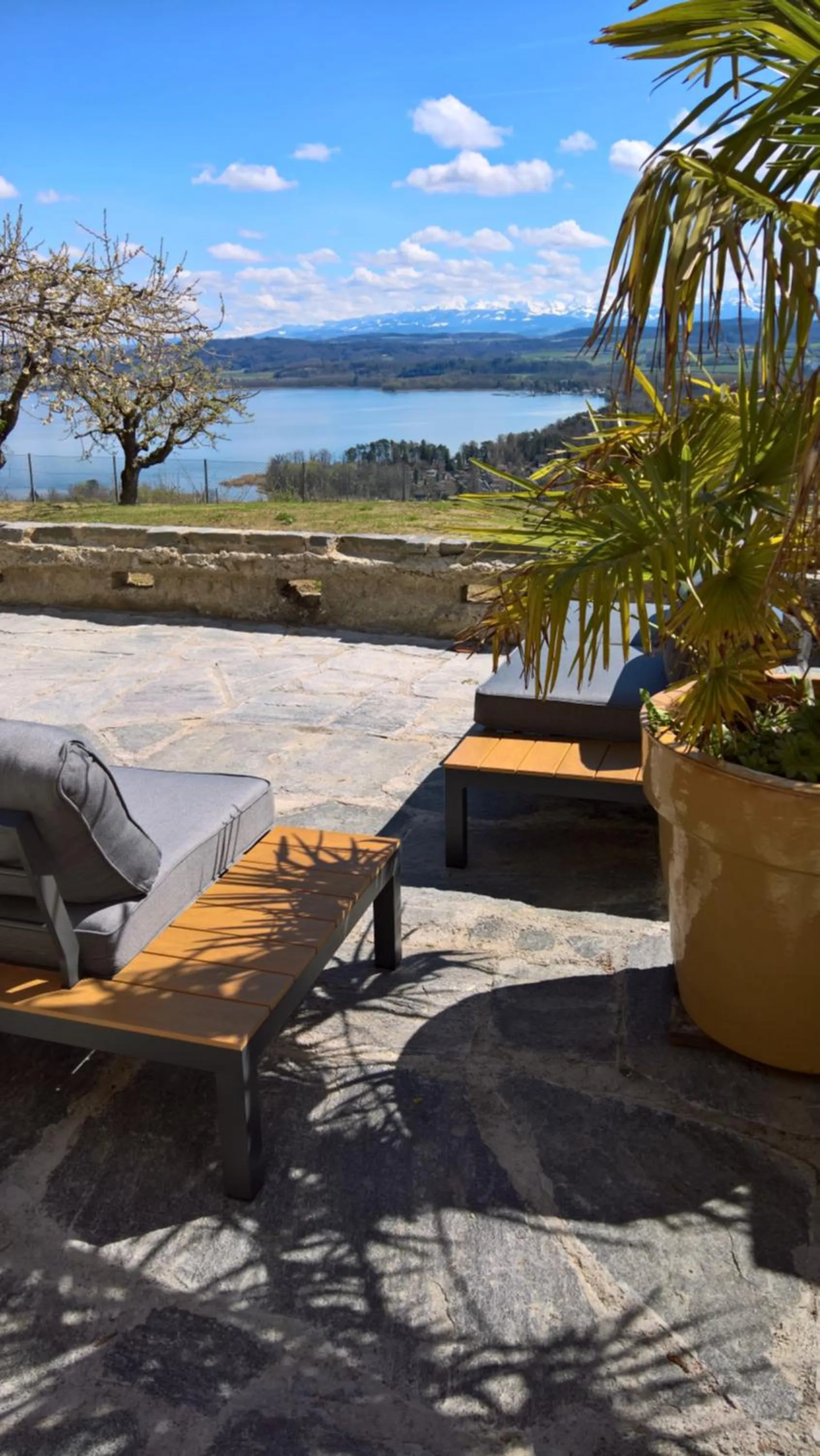 Patio in Swiss Borzoi House