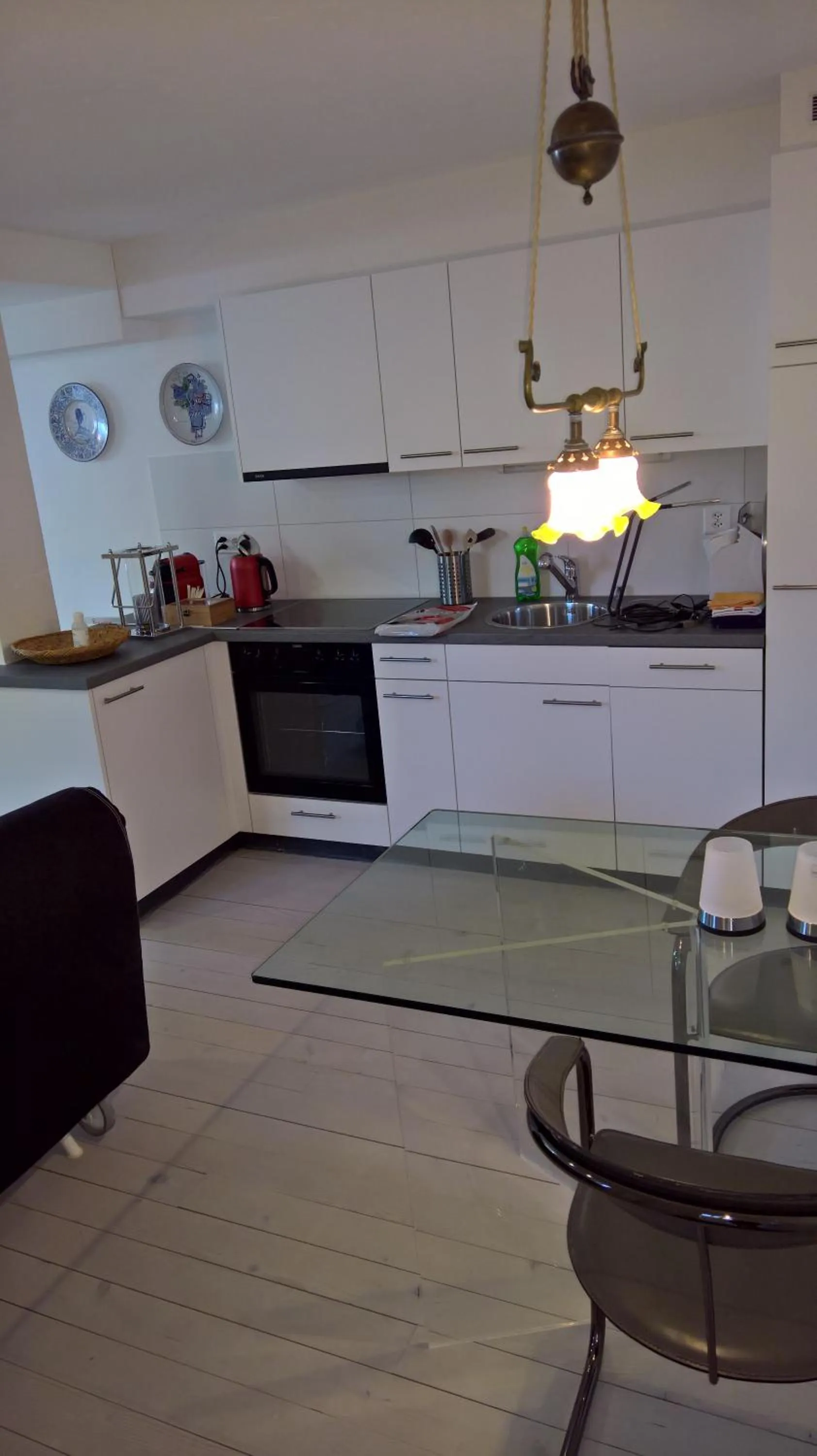 Dining area in Swiss Borzoi House