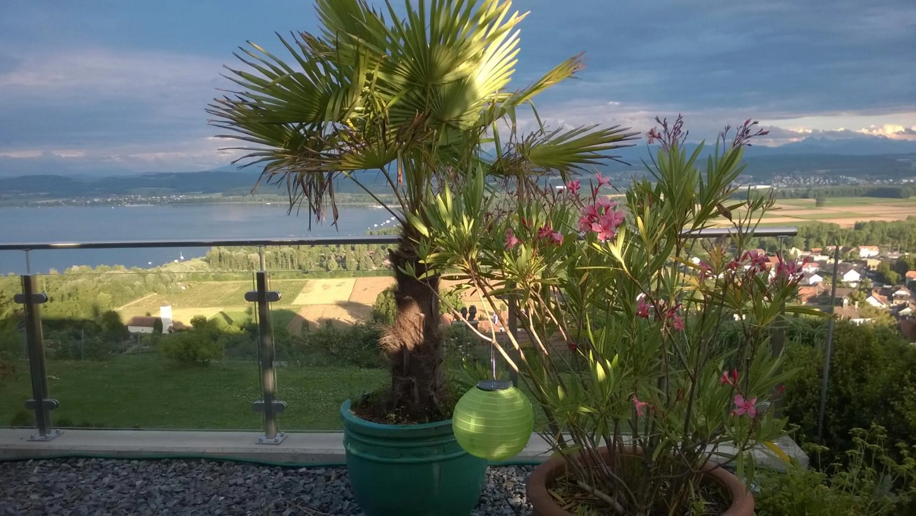 Natural landscape in Swiss Borzoi House