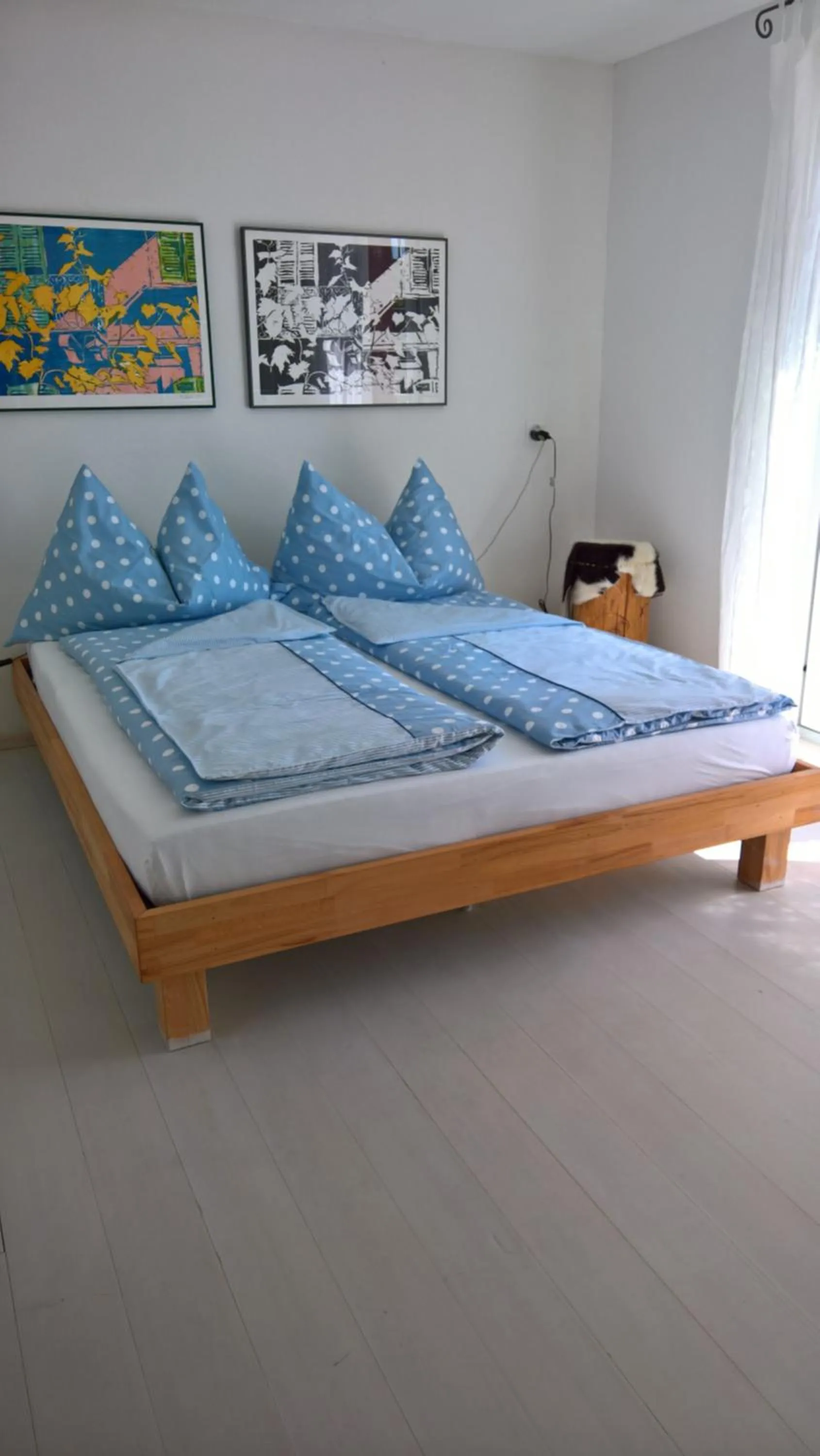 Bed in Swiss Borzoi House