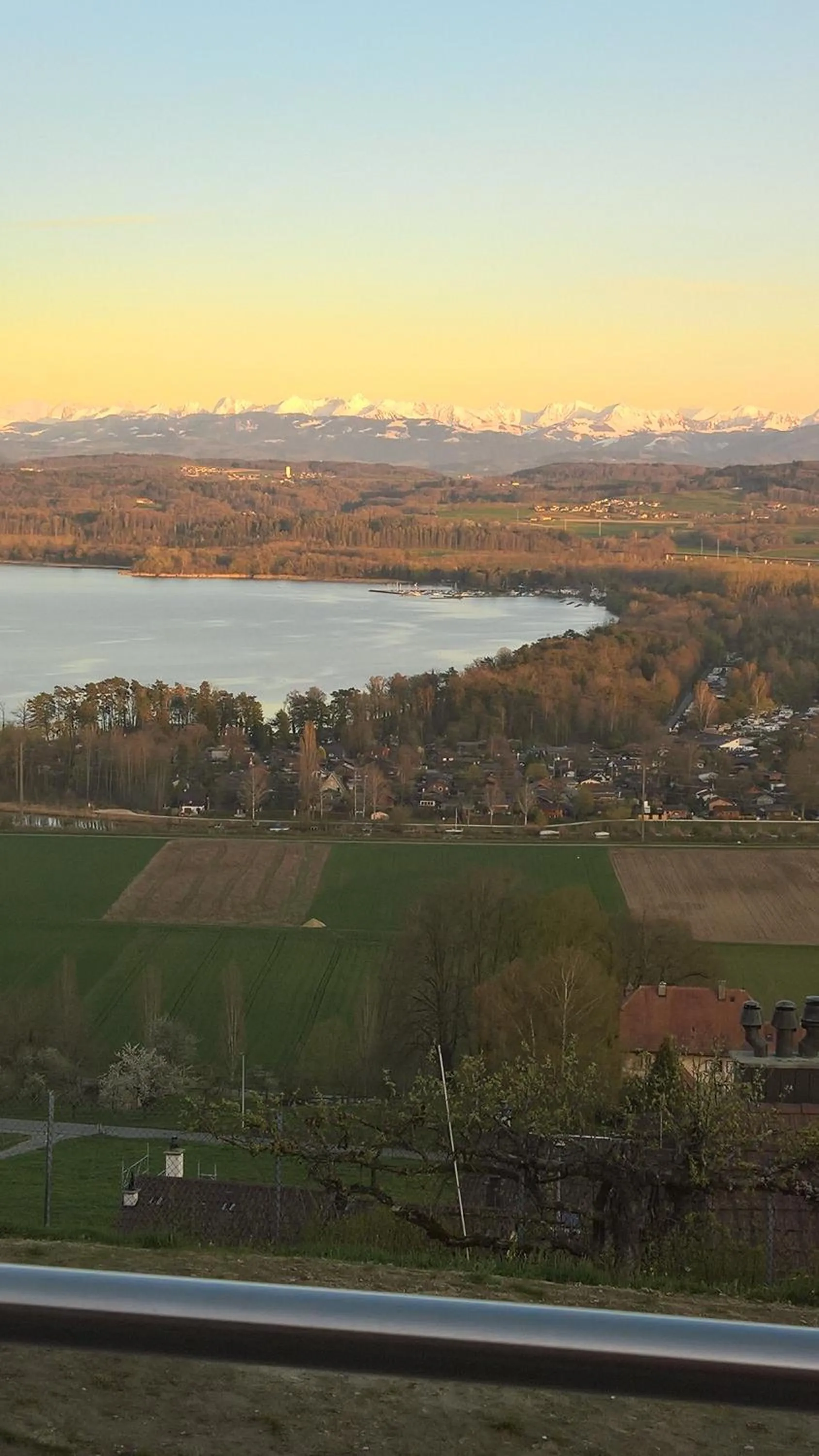 Lake view in Swiss Borzoi House