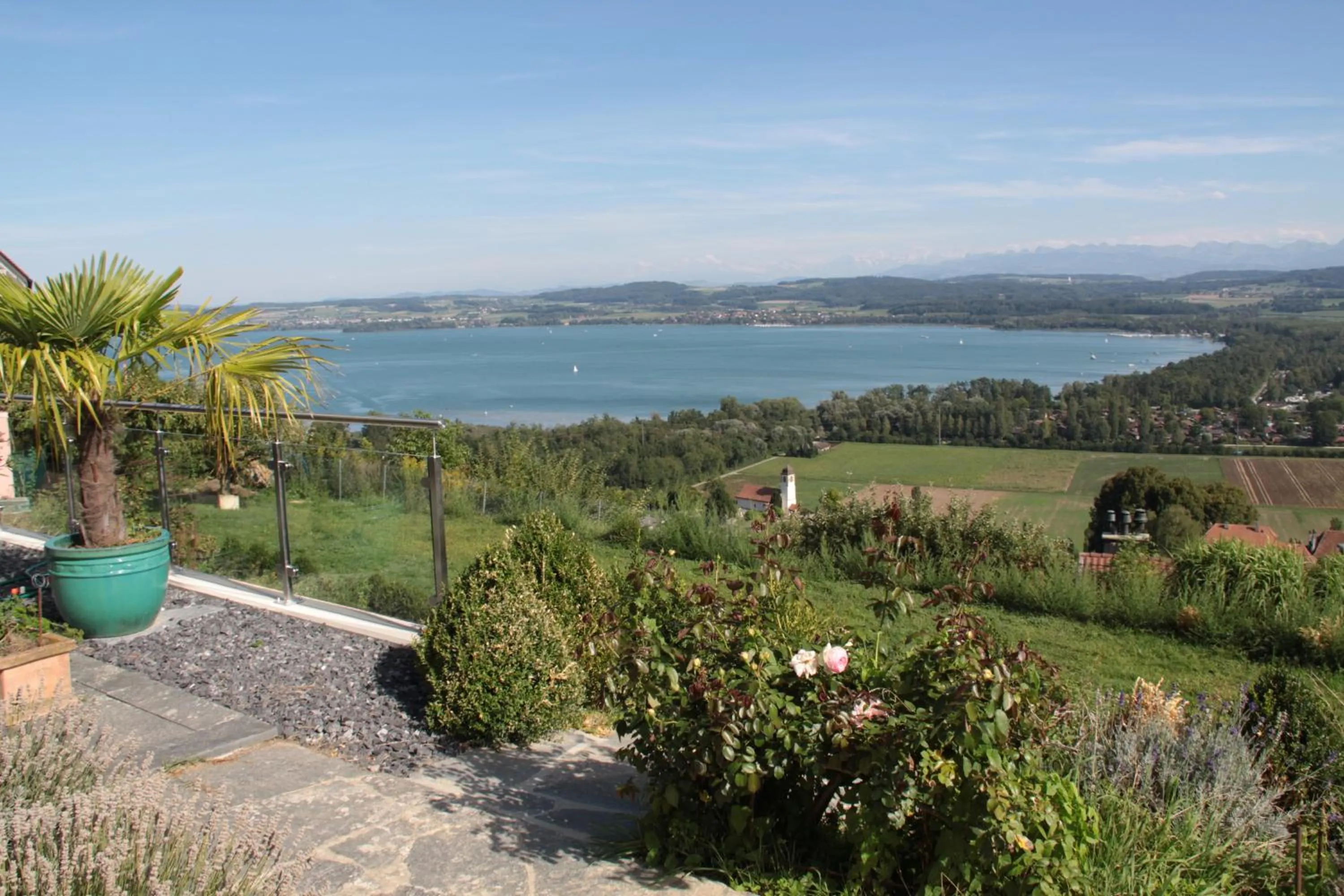 Summer in Swiss Borzoi House