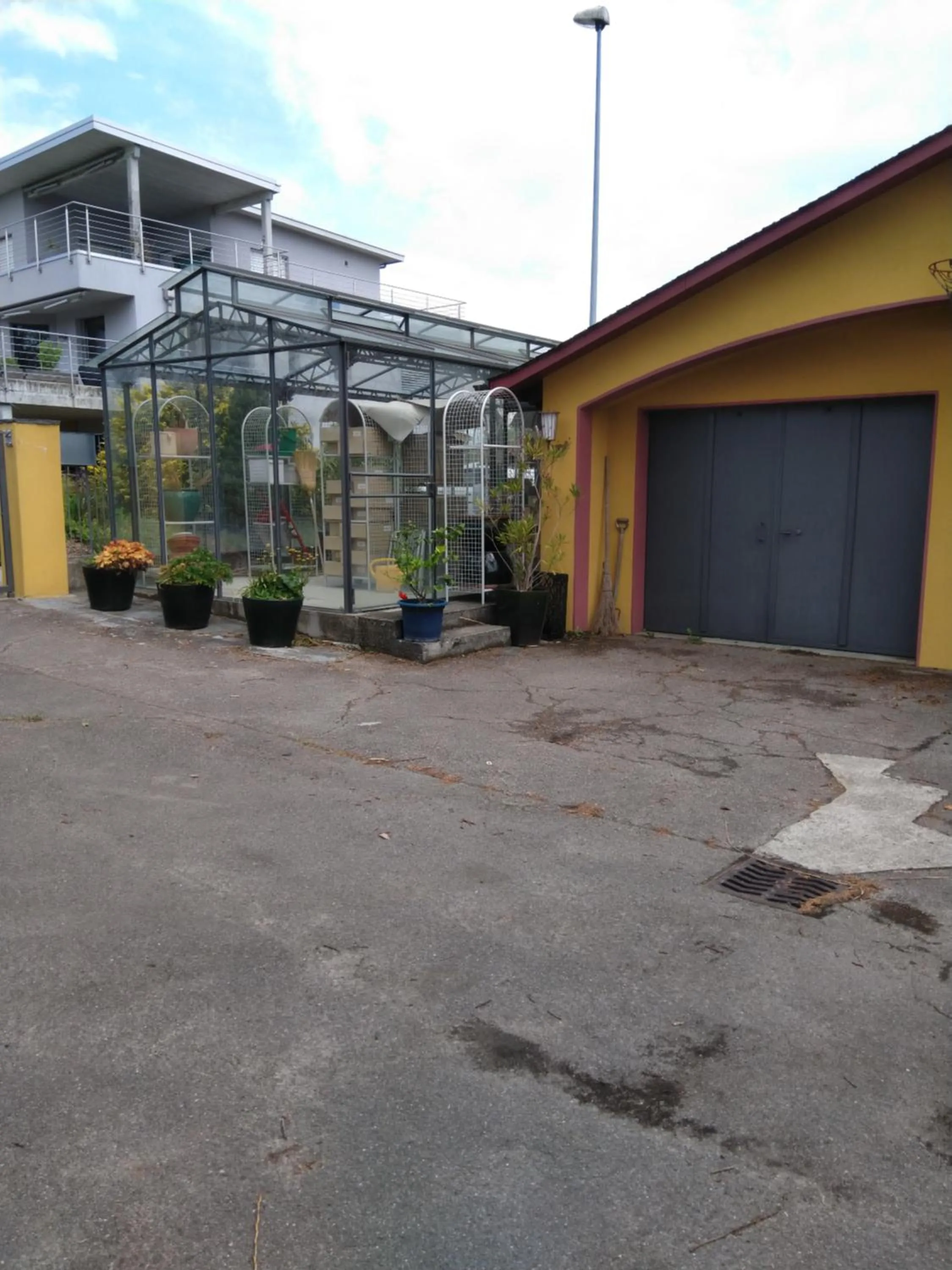 Property building in Swiss Borzoi House