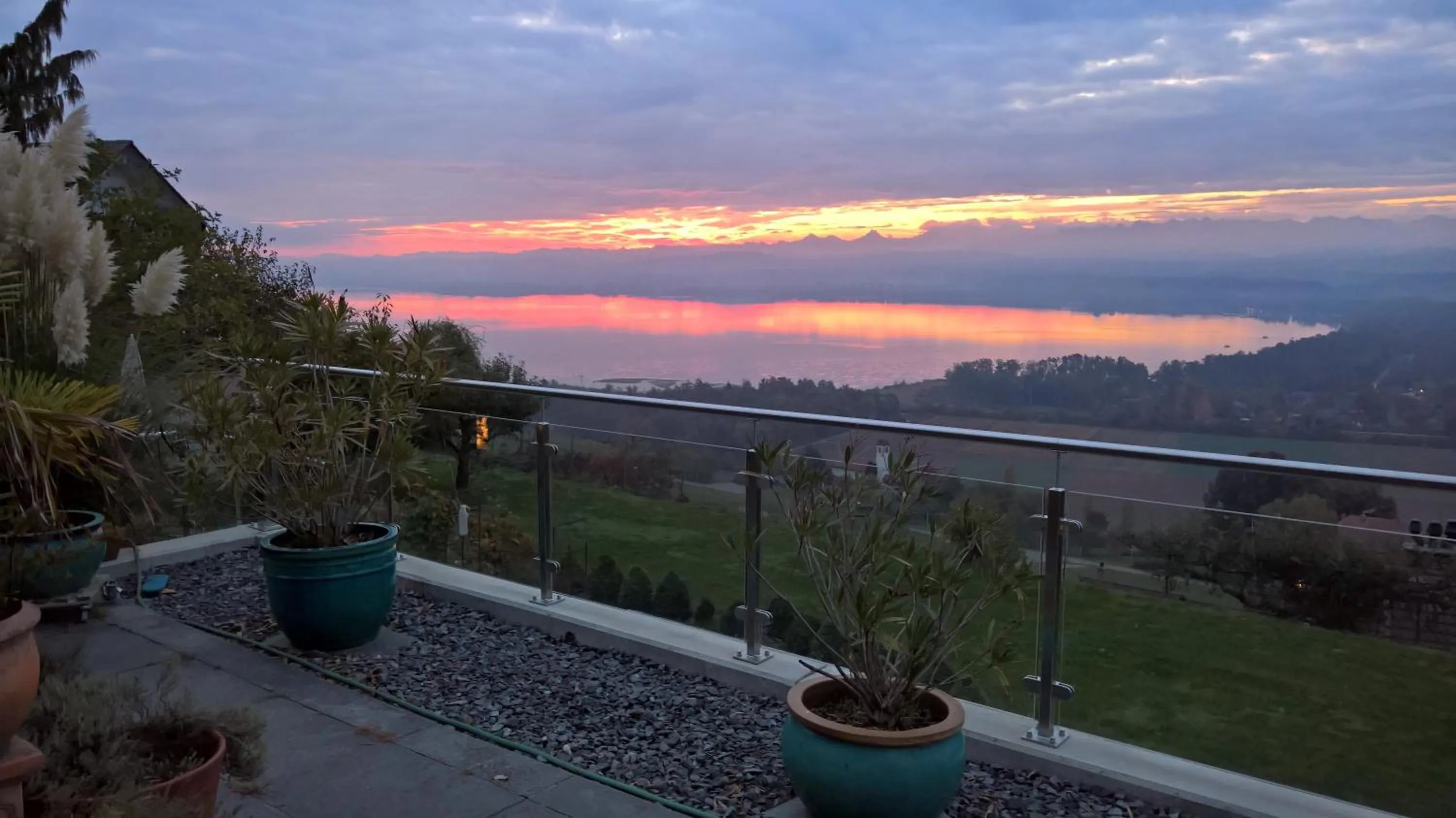 Natural landscape in Swiss Borzoi House