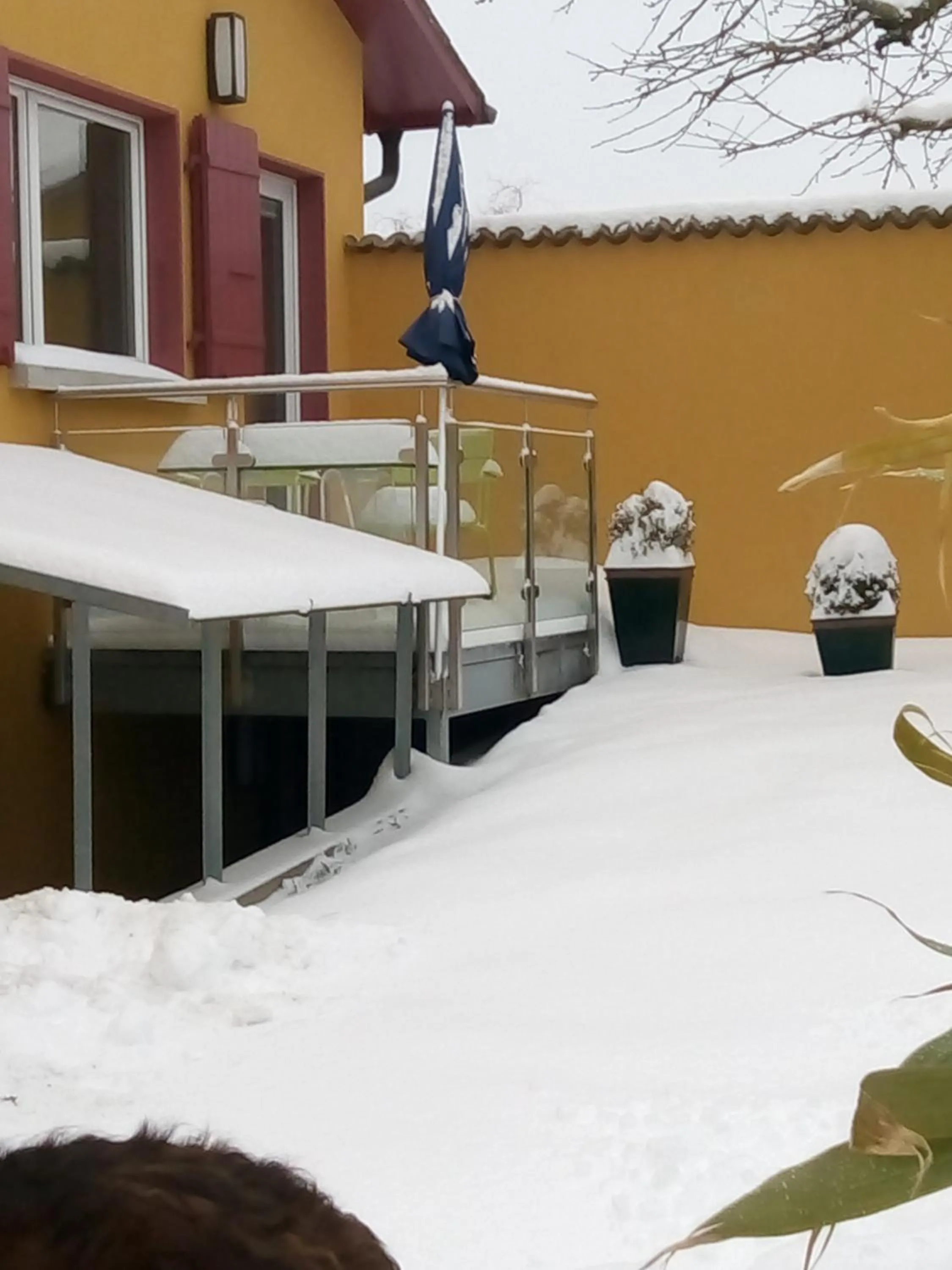 Facade/entrance in Swiss Borzoi House