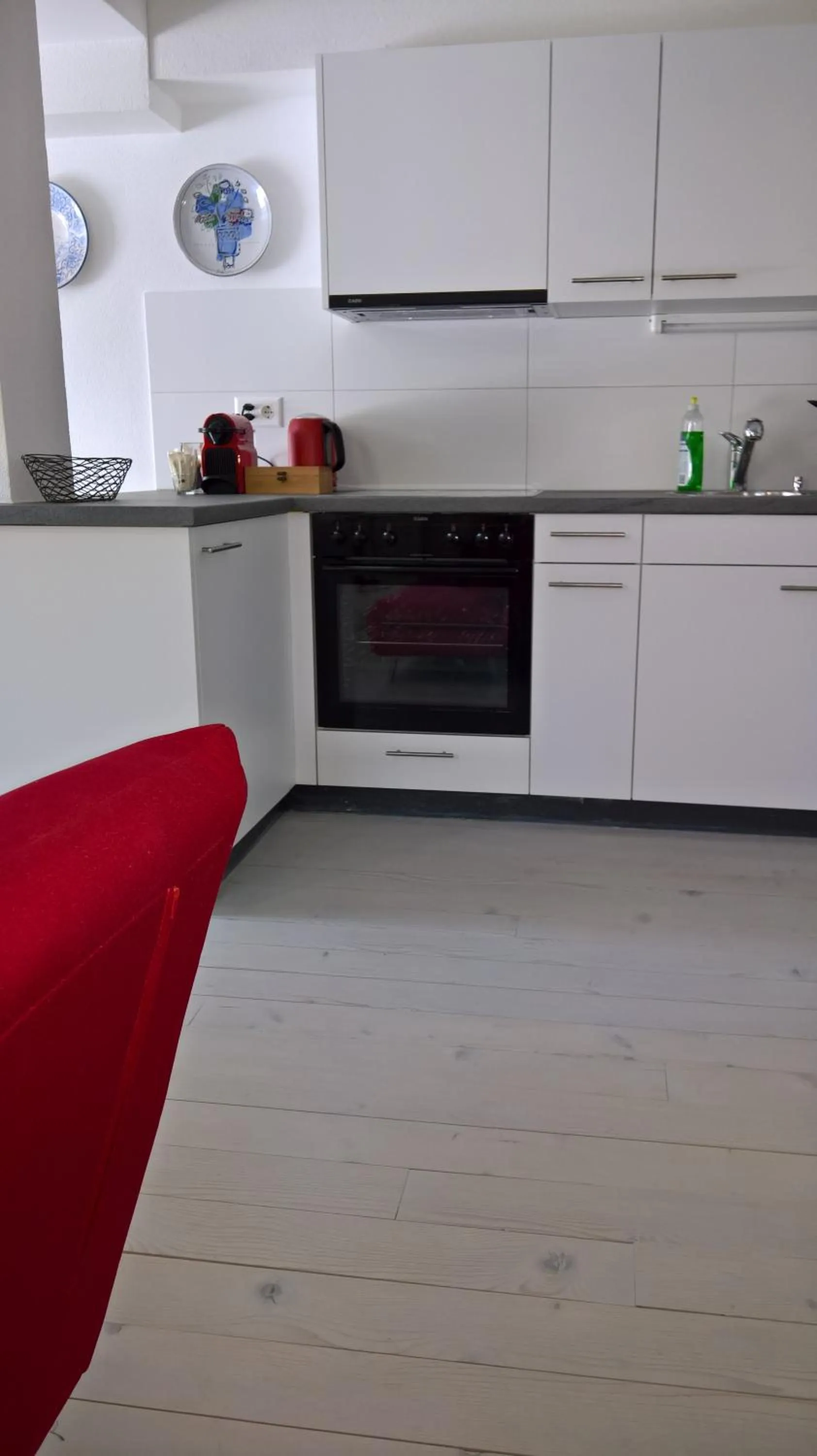 pet friendly in Swiss Borzoi House