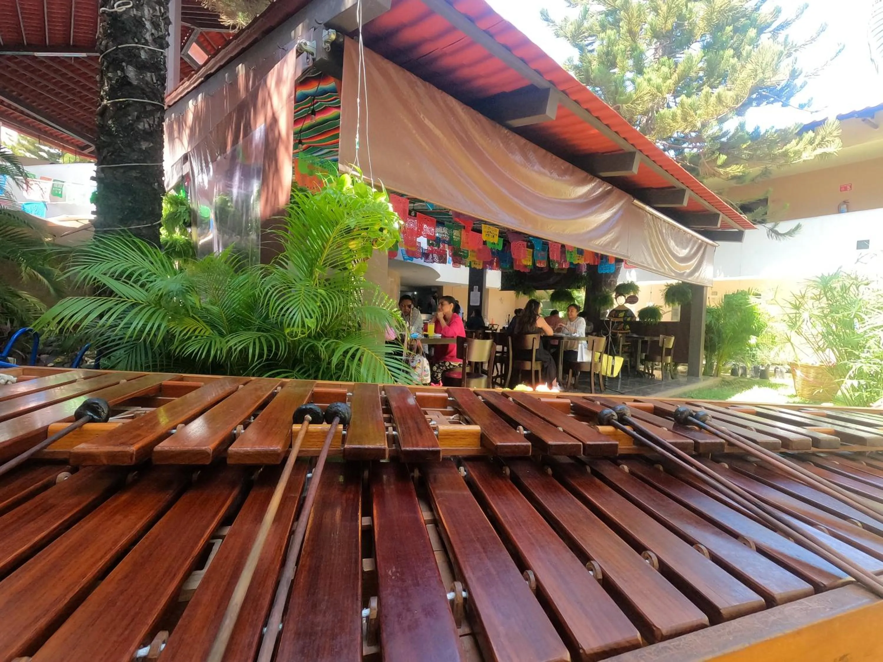 Restaurant/places to eat in Quinta Chiapas