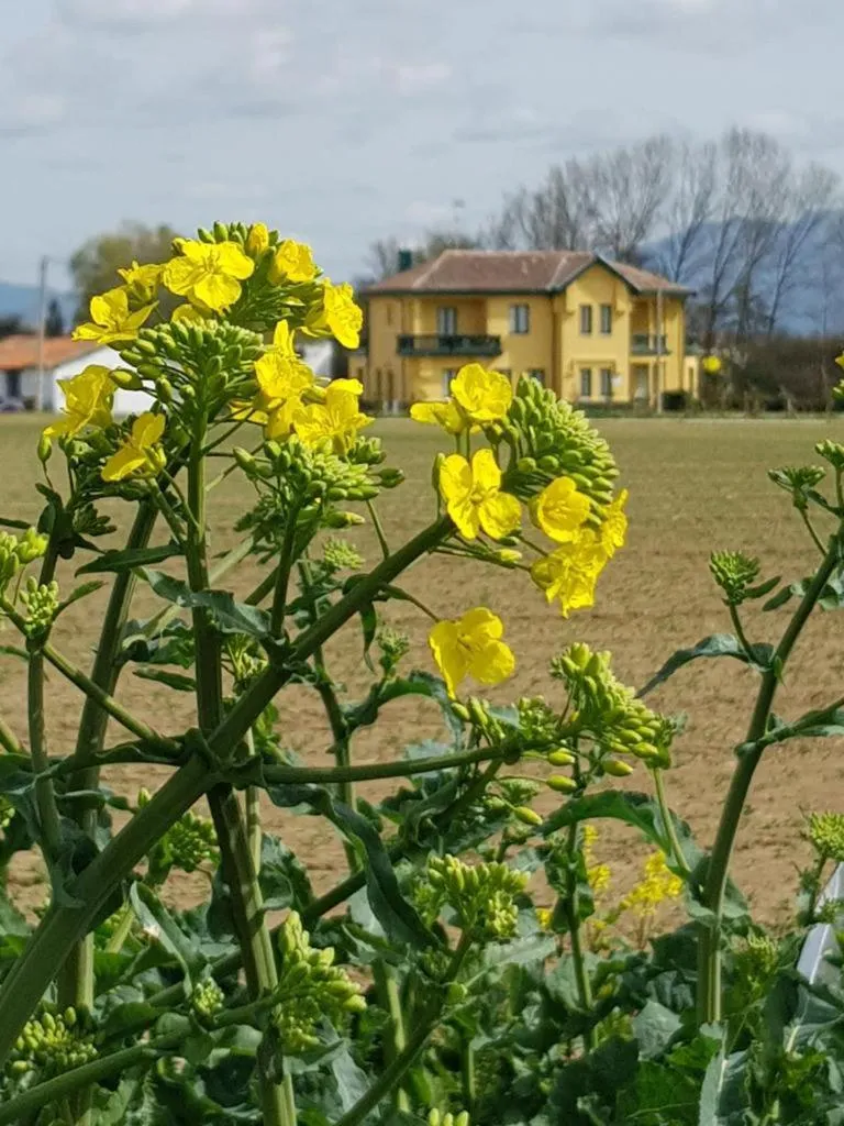 Garden in Hotel Valle del Oja