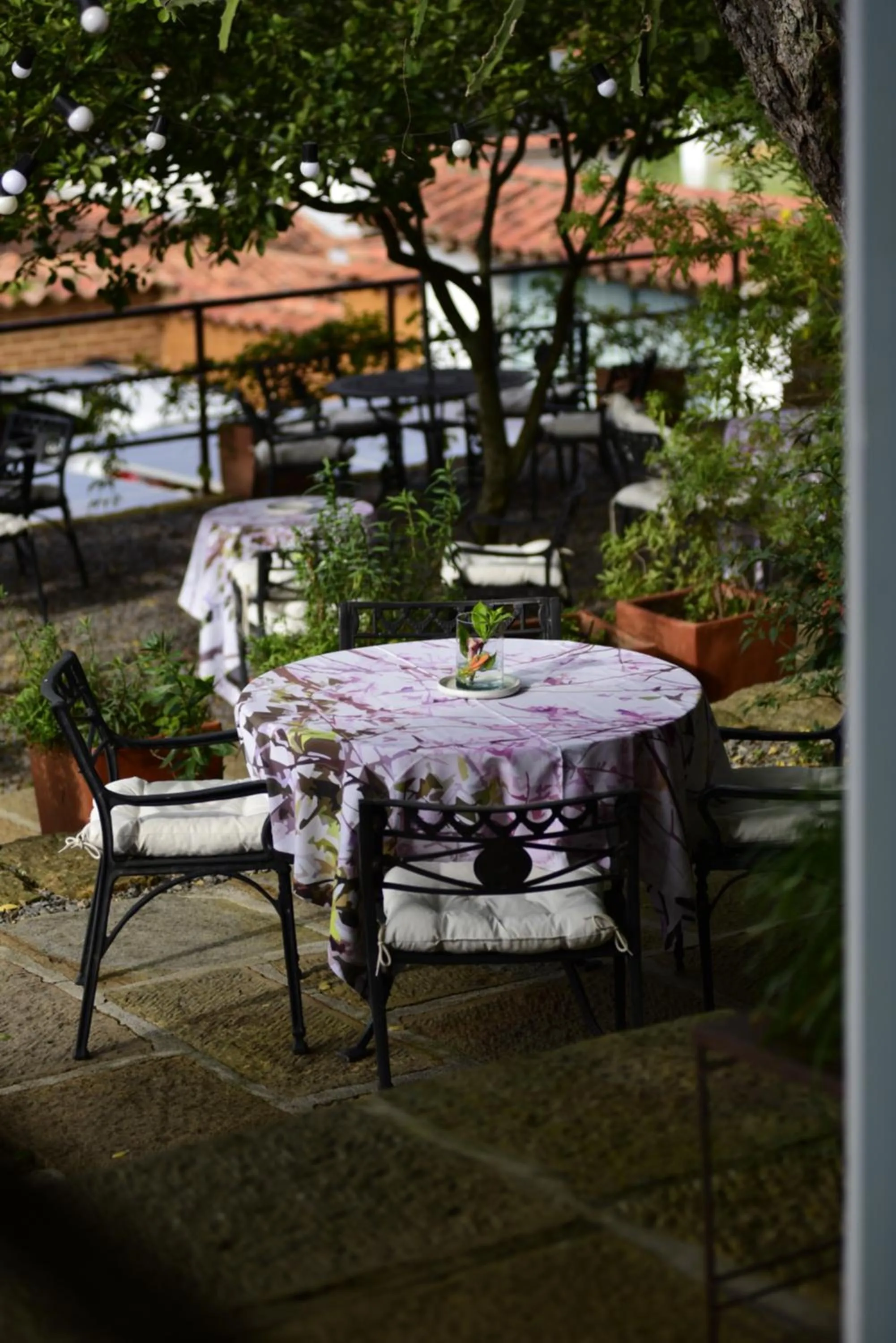 Casa Barichara Boutique