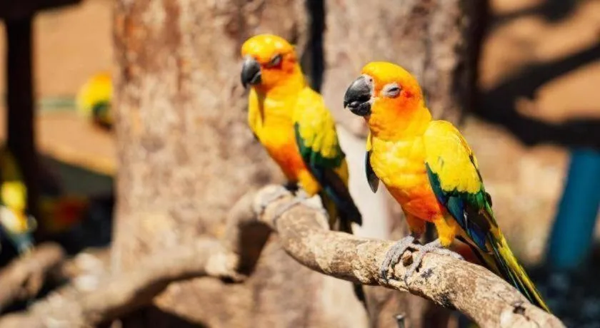 Baan Tem Jai Khao Yai