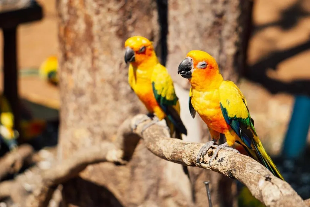 Baan Tem Jai Khao Yai