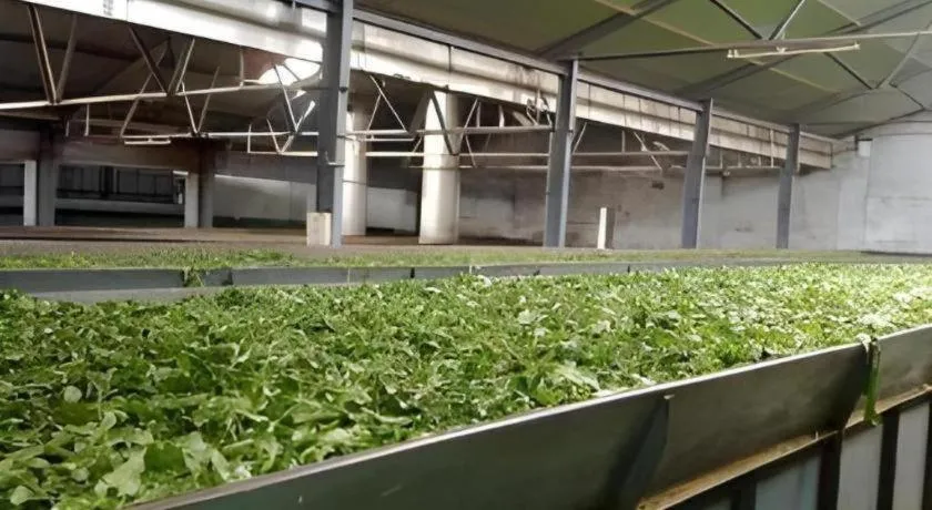 Sun Park Grand Hotel