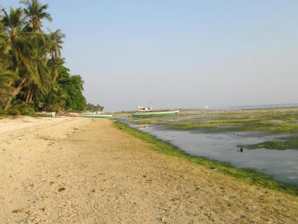 Treasure Island Beach Bungalows