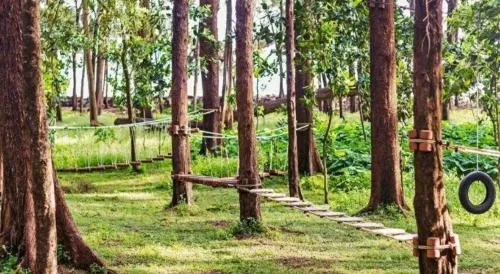 Devbagh beach resort - Junglelodges