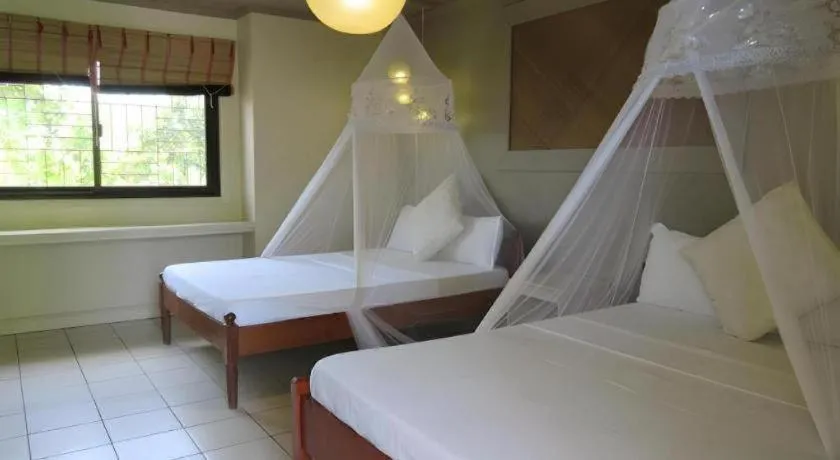 Bed in Summer Connection