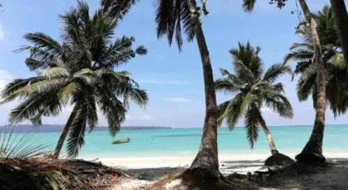 Sangri Las Beach Resort-Havelock Island