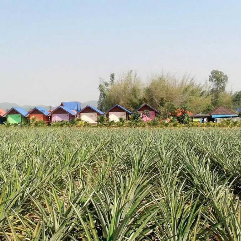 42 Somwang Resort