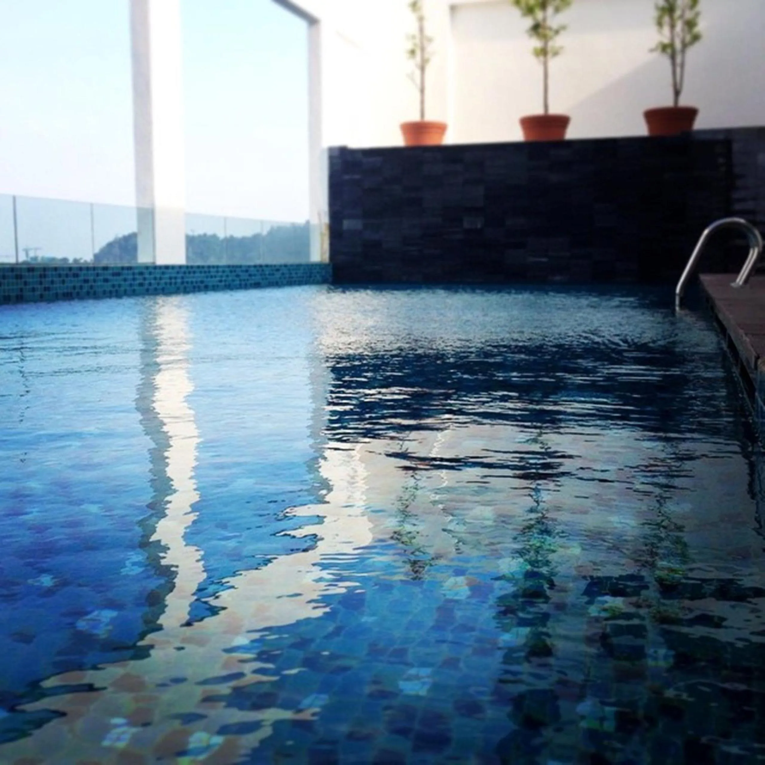 Swimming pool in Olive Tree Hotel Penang