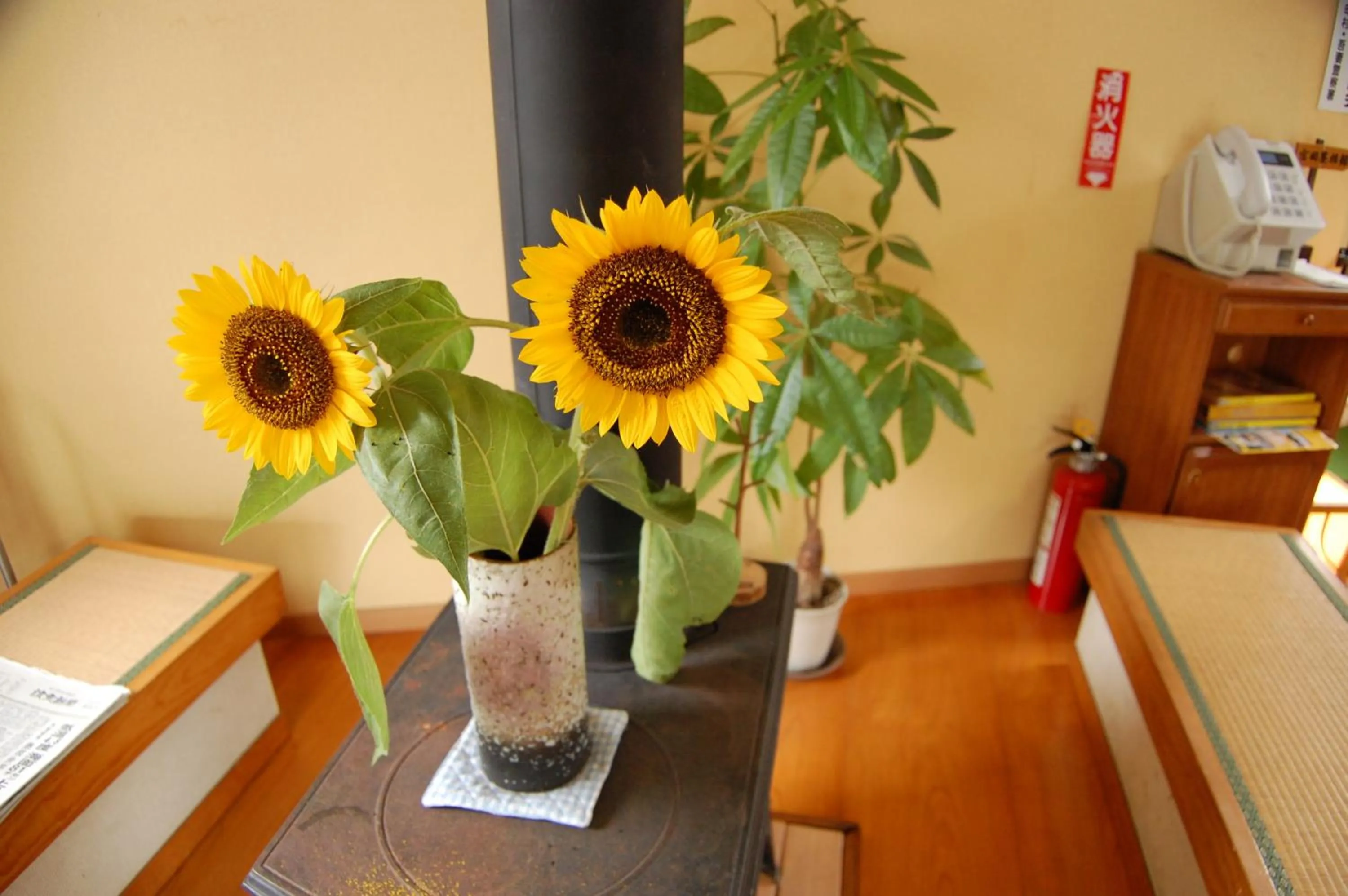 Lobby or reception in Sawatari Onsen Miyataya Ryokan