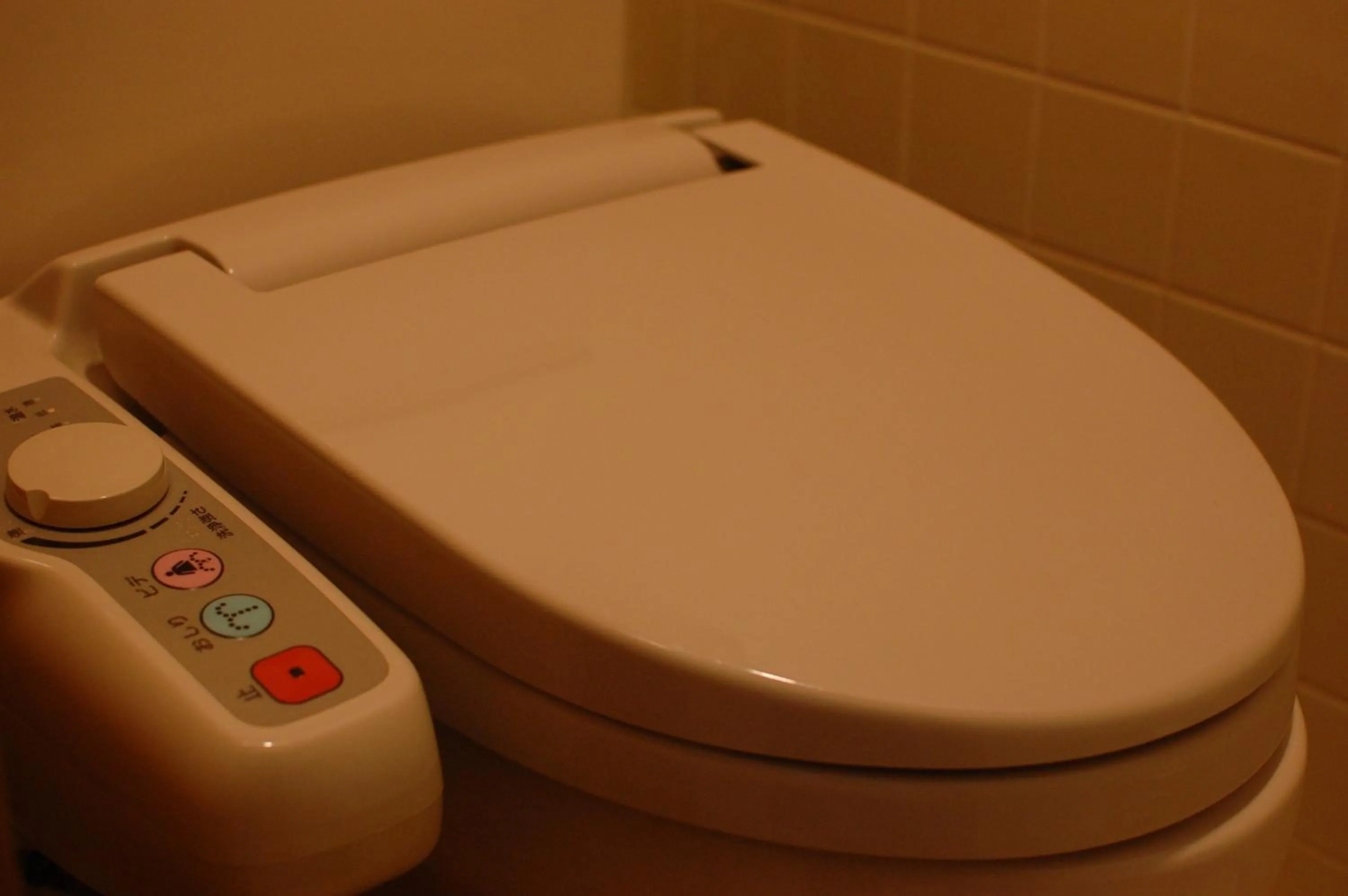 Toilet in Sawatari Onsen Miyataya Ryokan