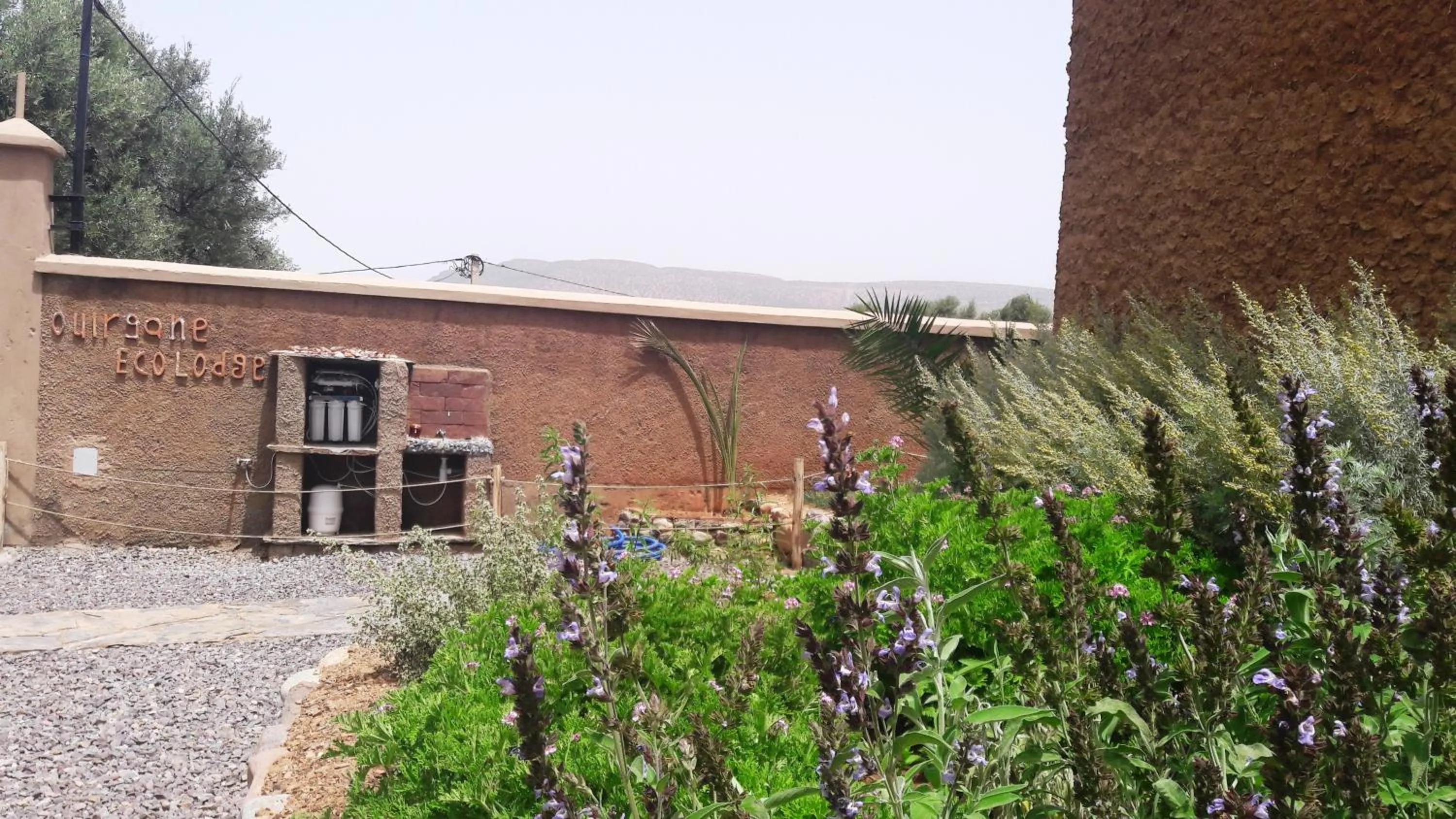 Garden in Ouirgane Ecolodge