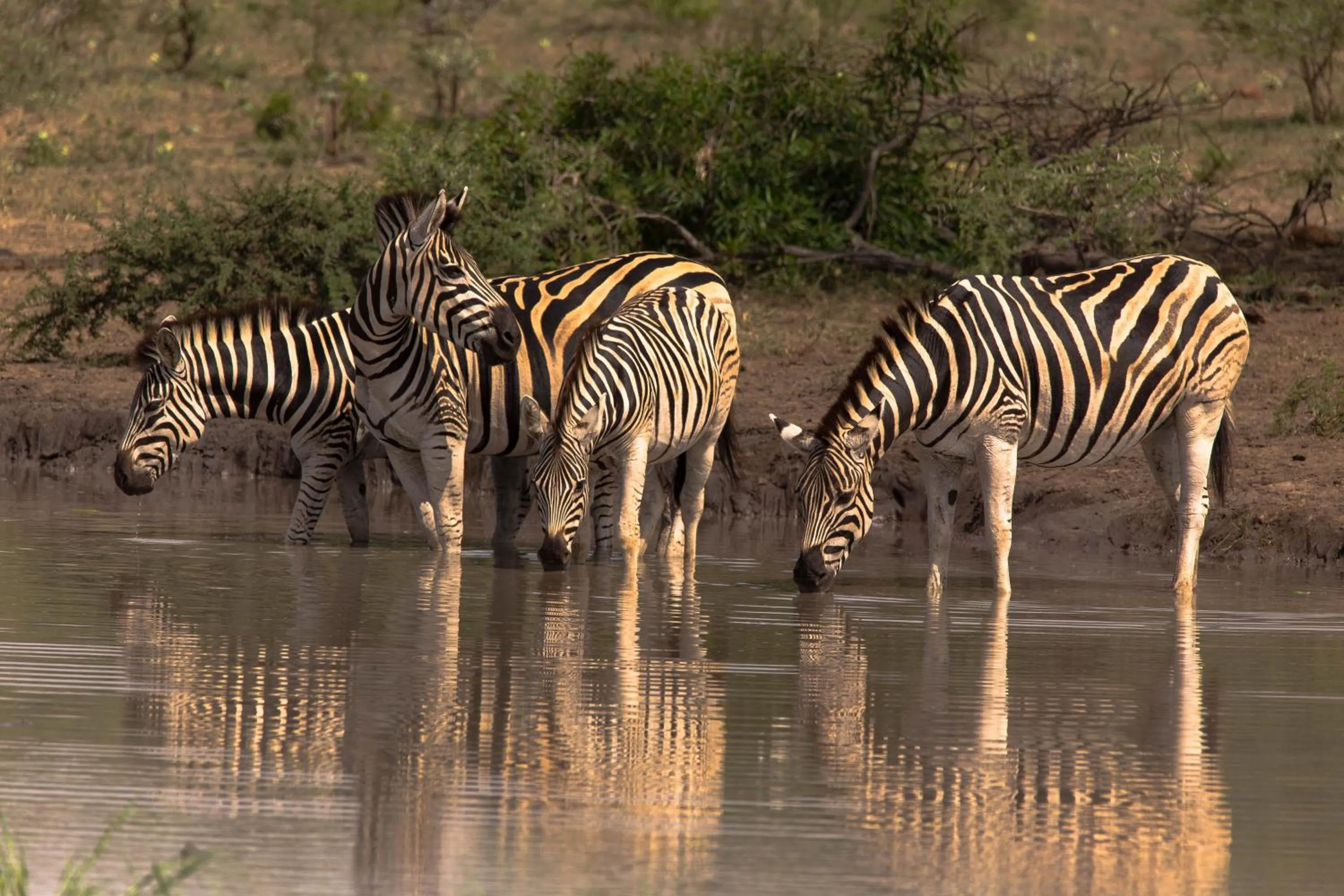 Off site in At Heritage House