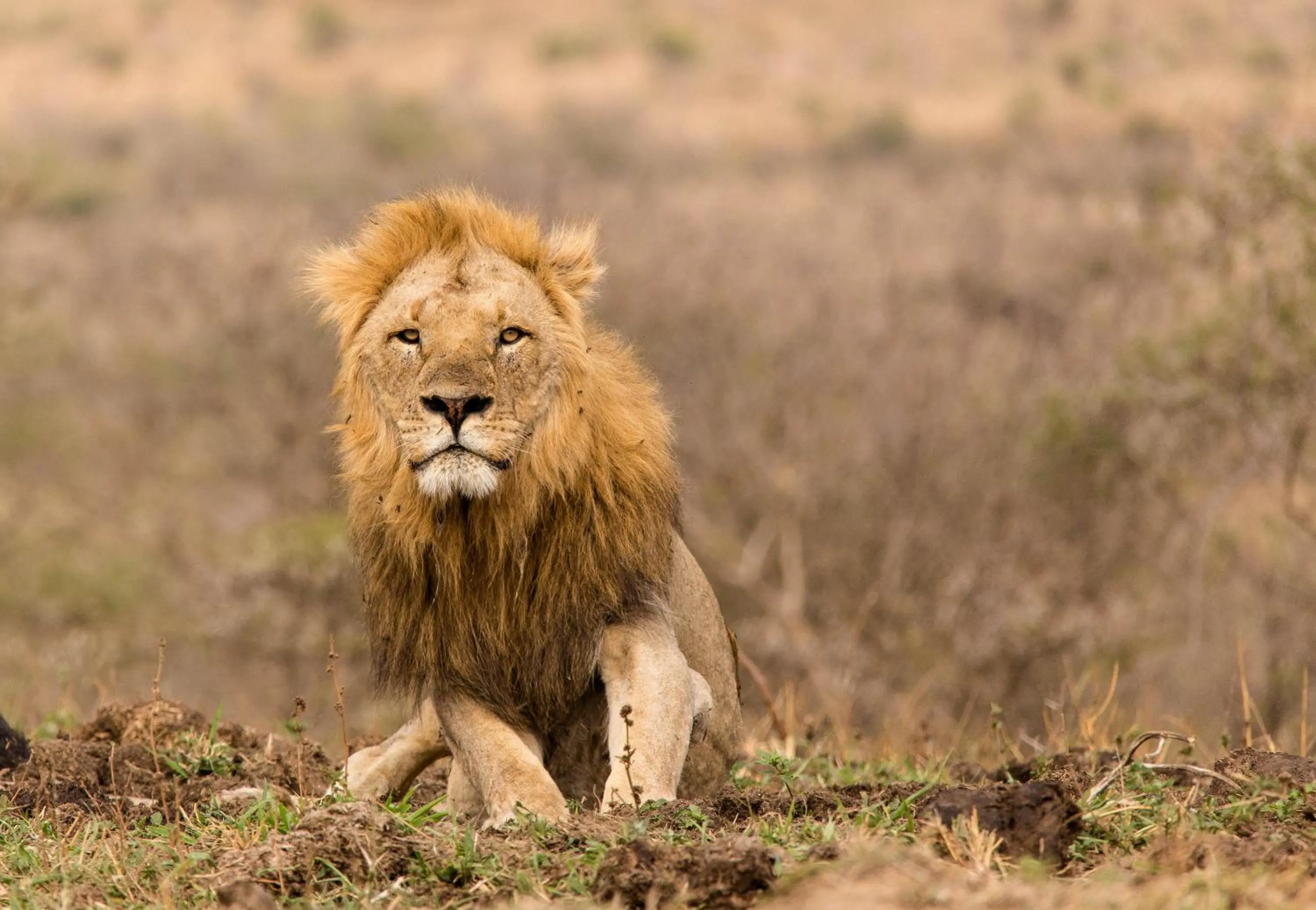 Nearby landmark in At Heritage House