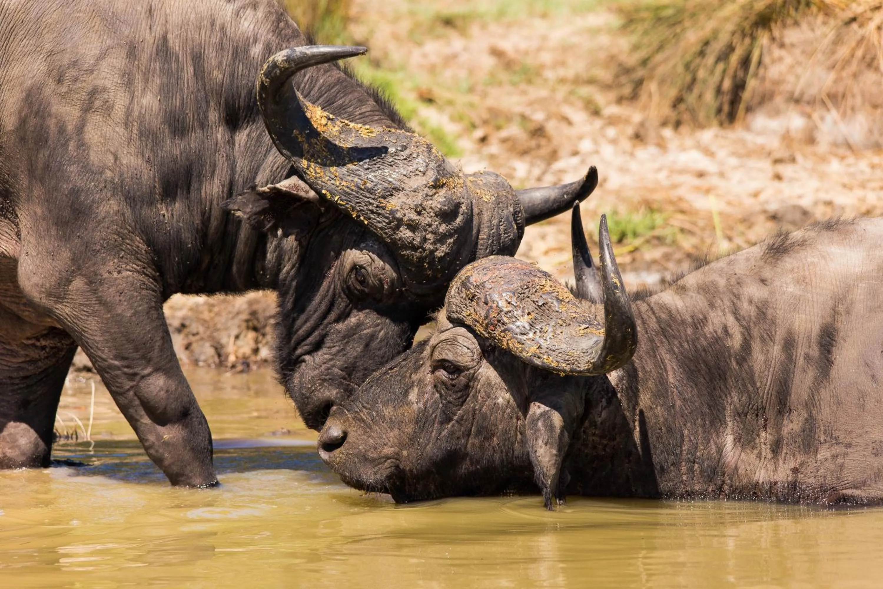 Off site in At Heritage House