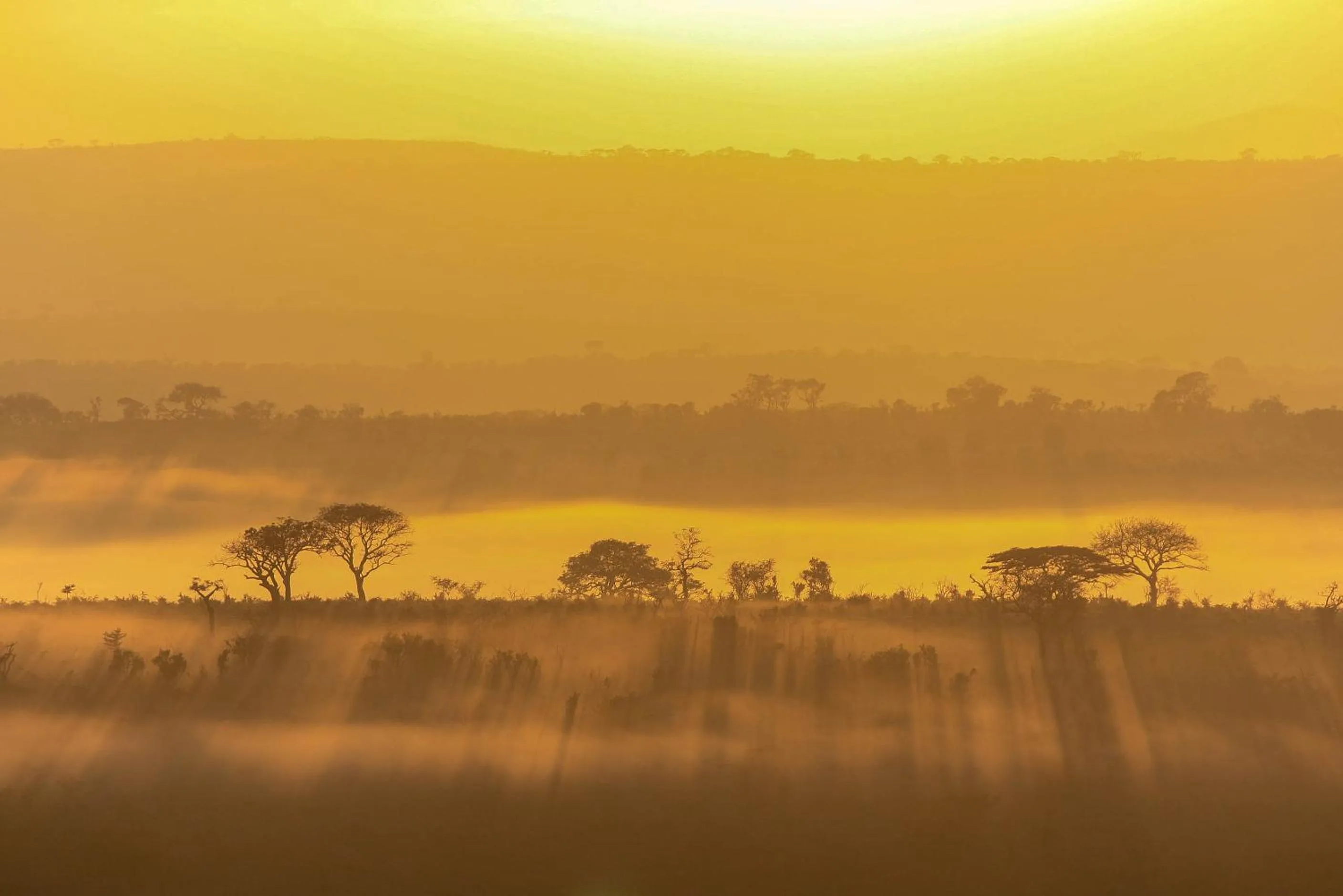 Other in At Heritage House