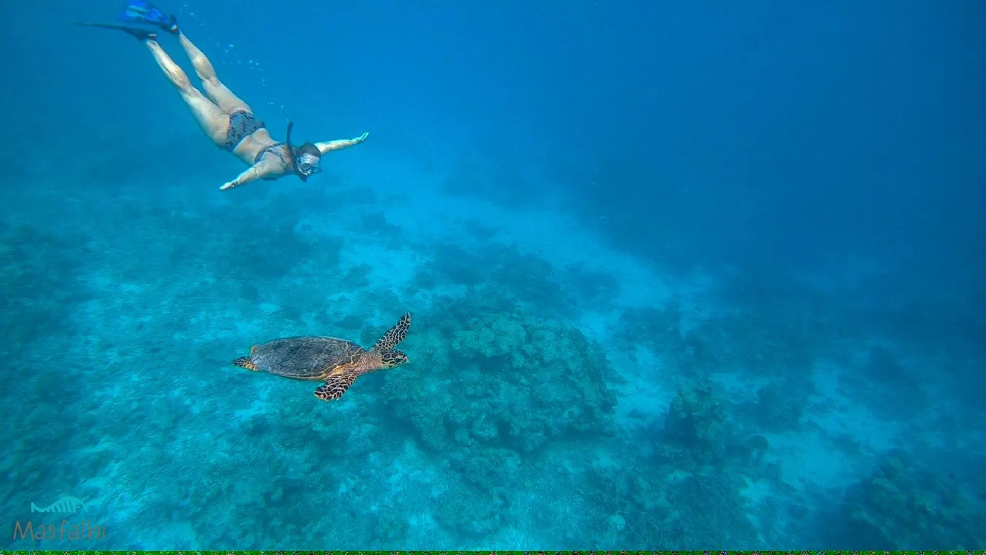 Activities in Masfalhi View Inn