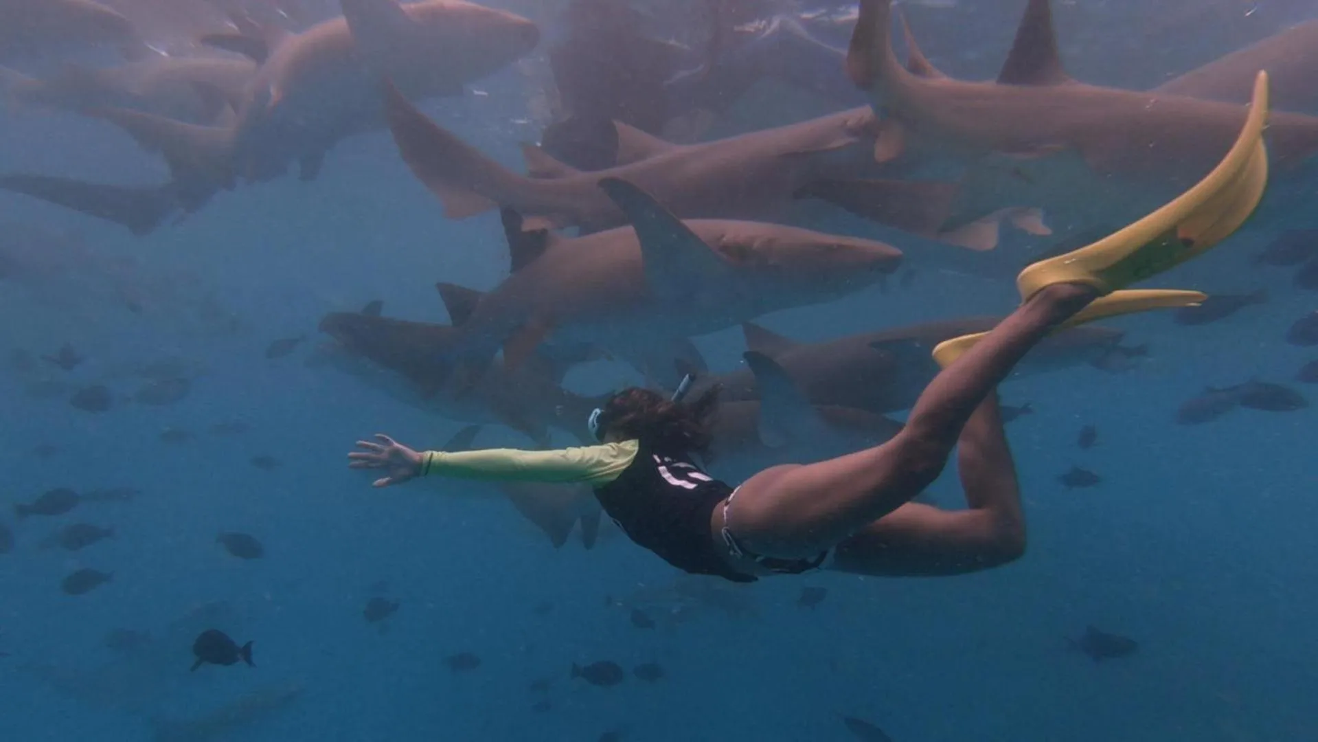 Natural landscape in Masfalhi View Inn