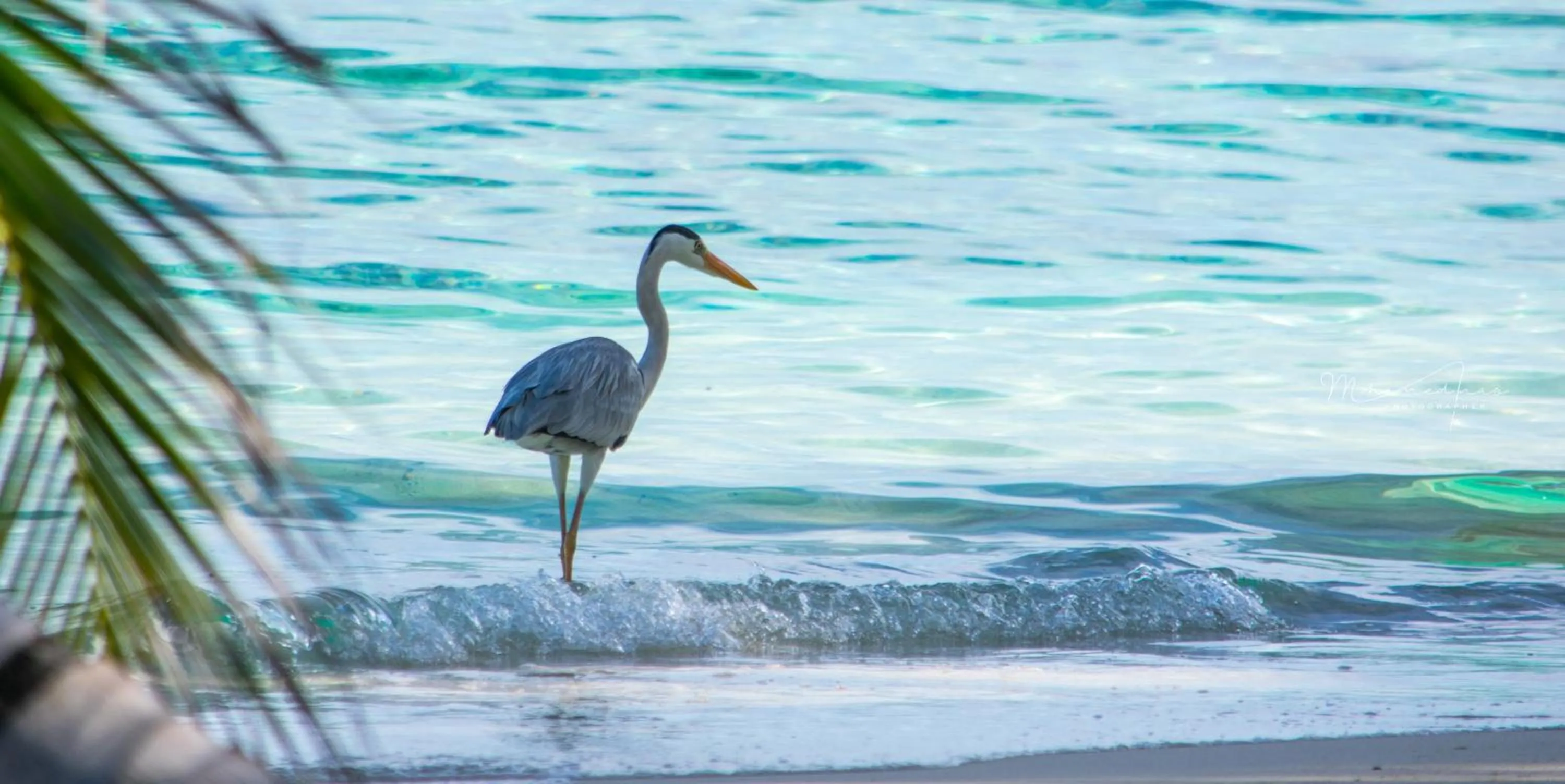 Sea view in Masfalhi View Inn