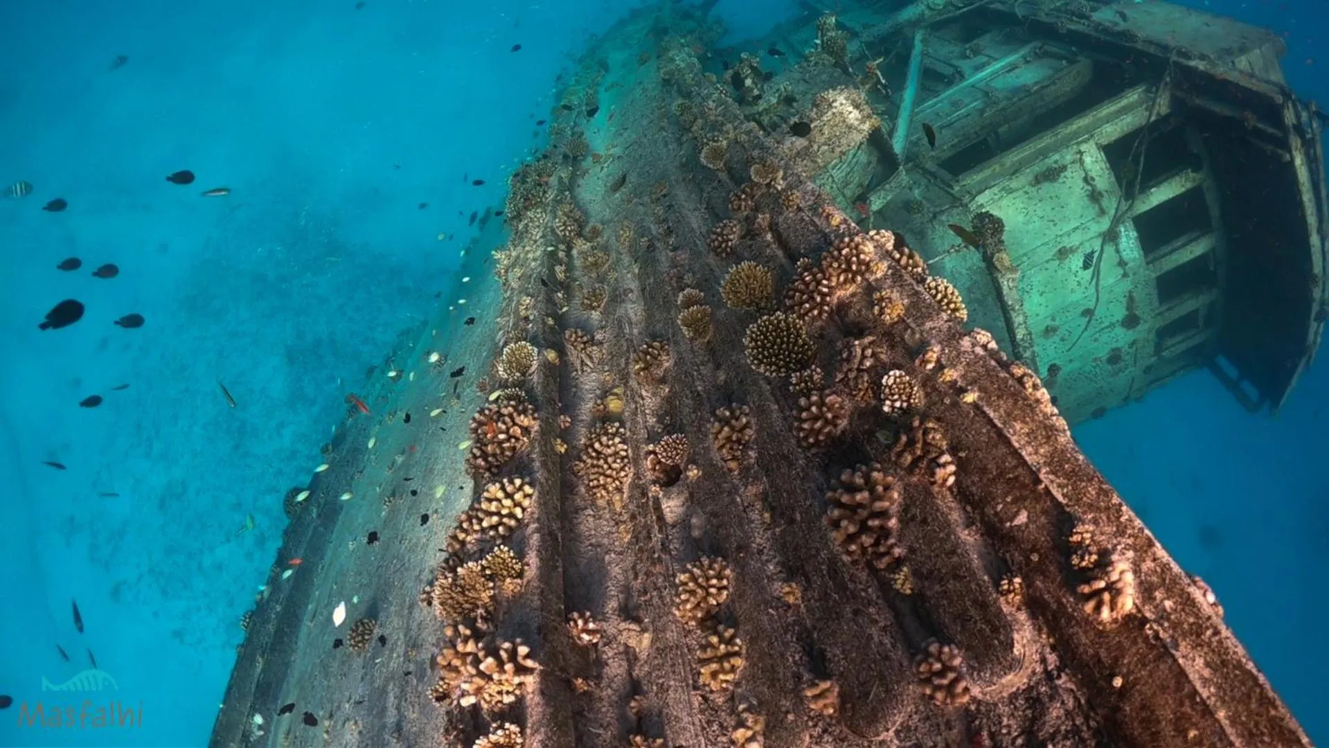 Activities in Masfalhi View Inn