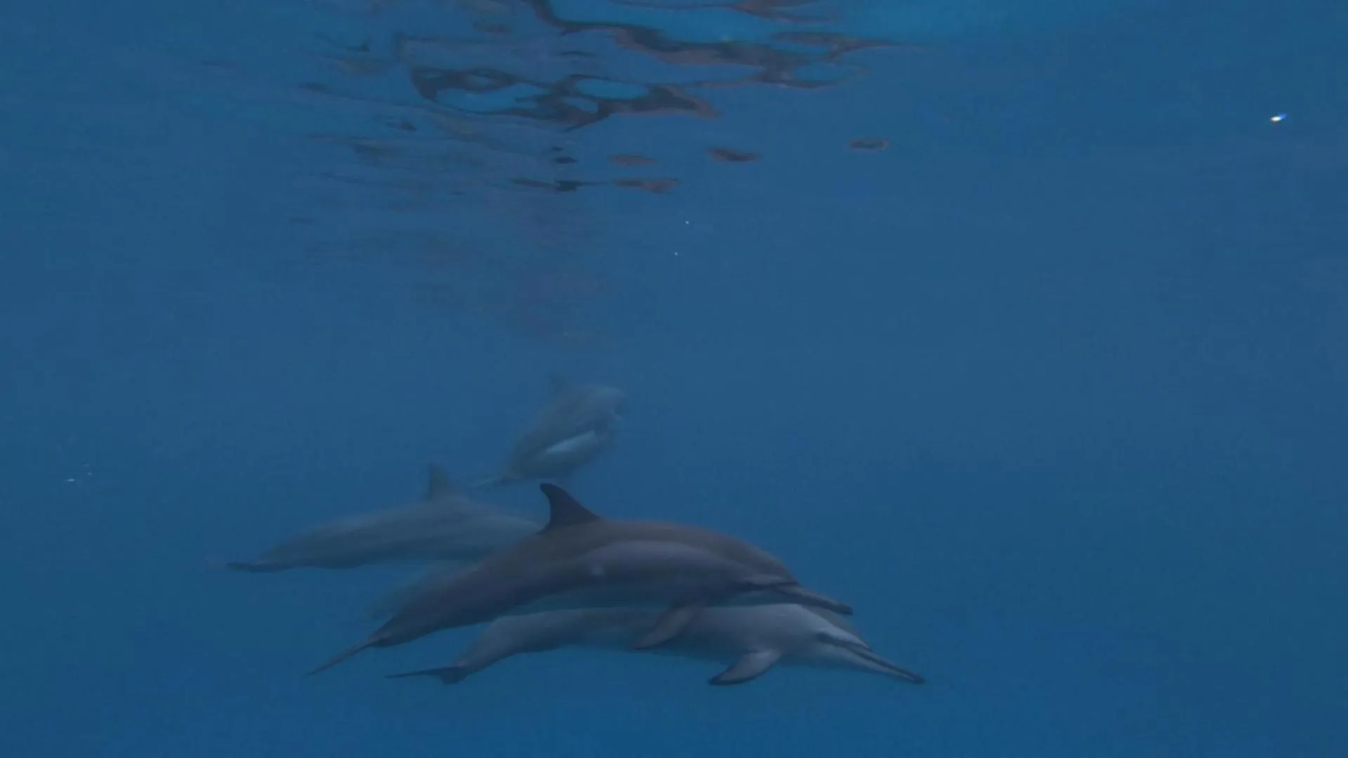 Activities in Masfalhi View Inn