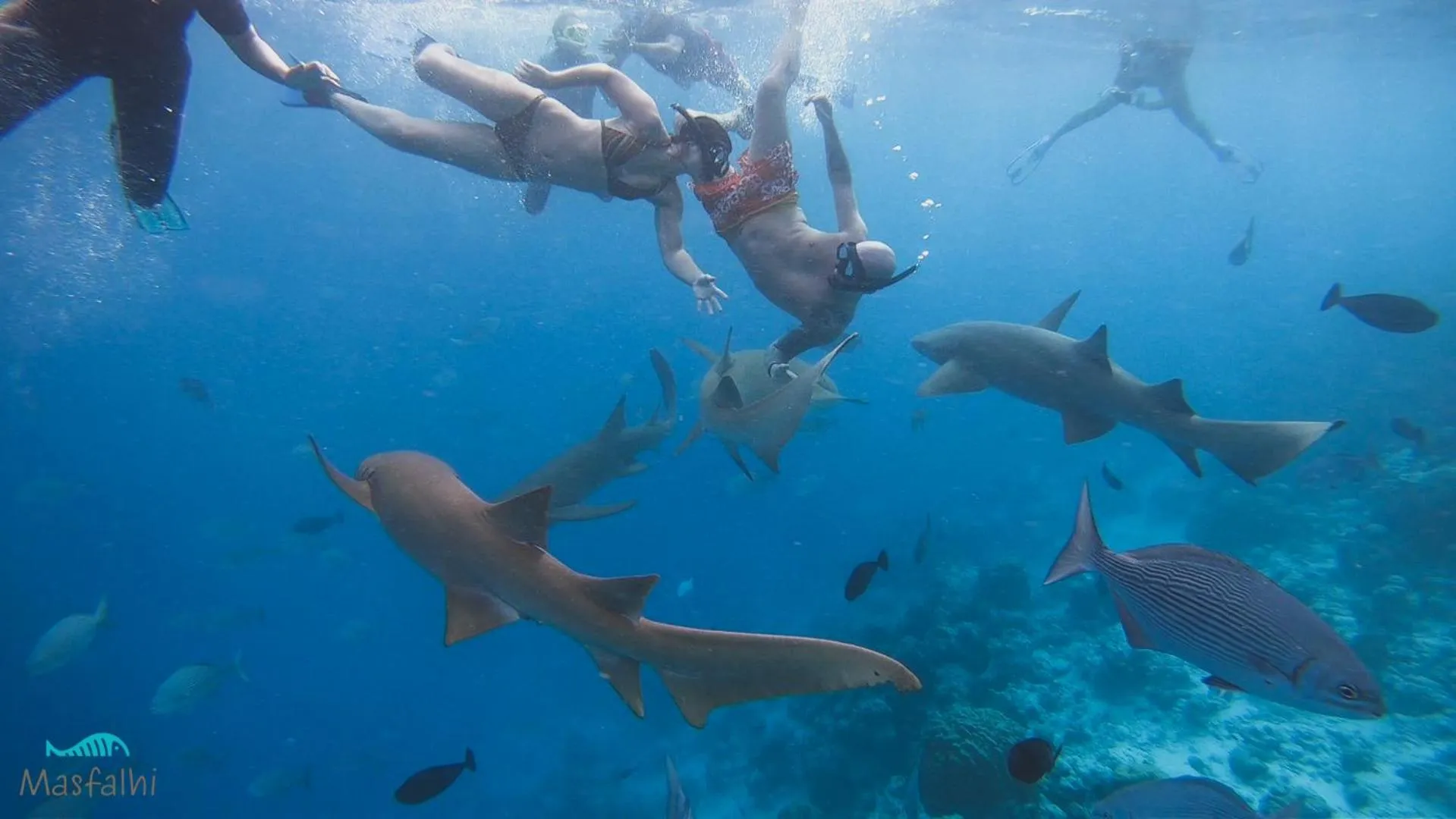 Activities in Masfalhi View Inn