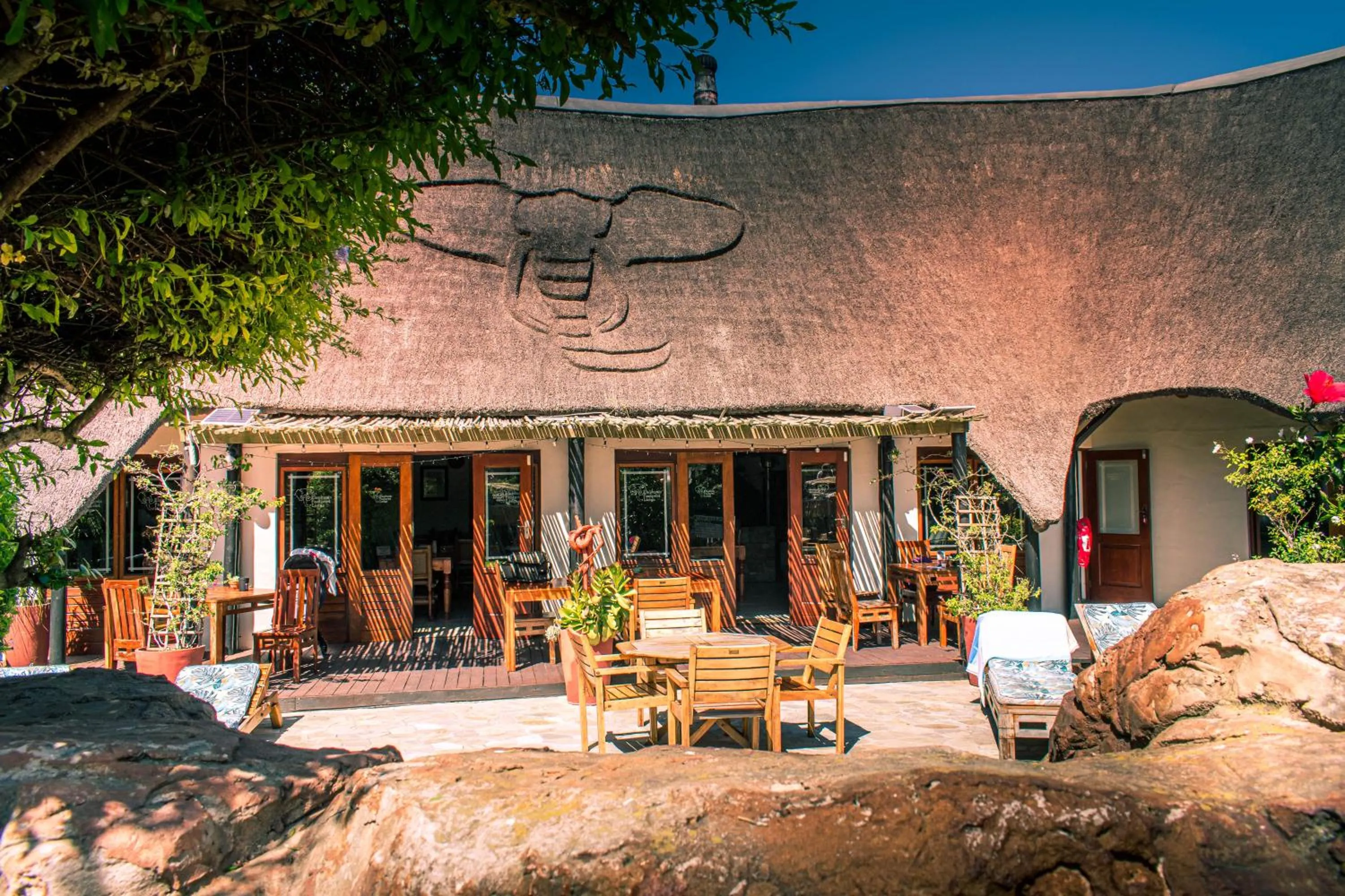 Restaurant/places to eat in Elephants Footprint Lodge
