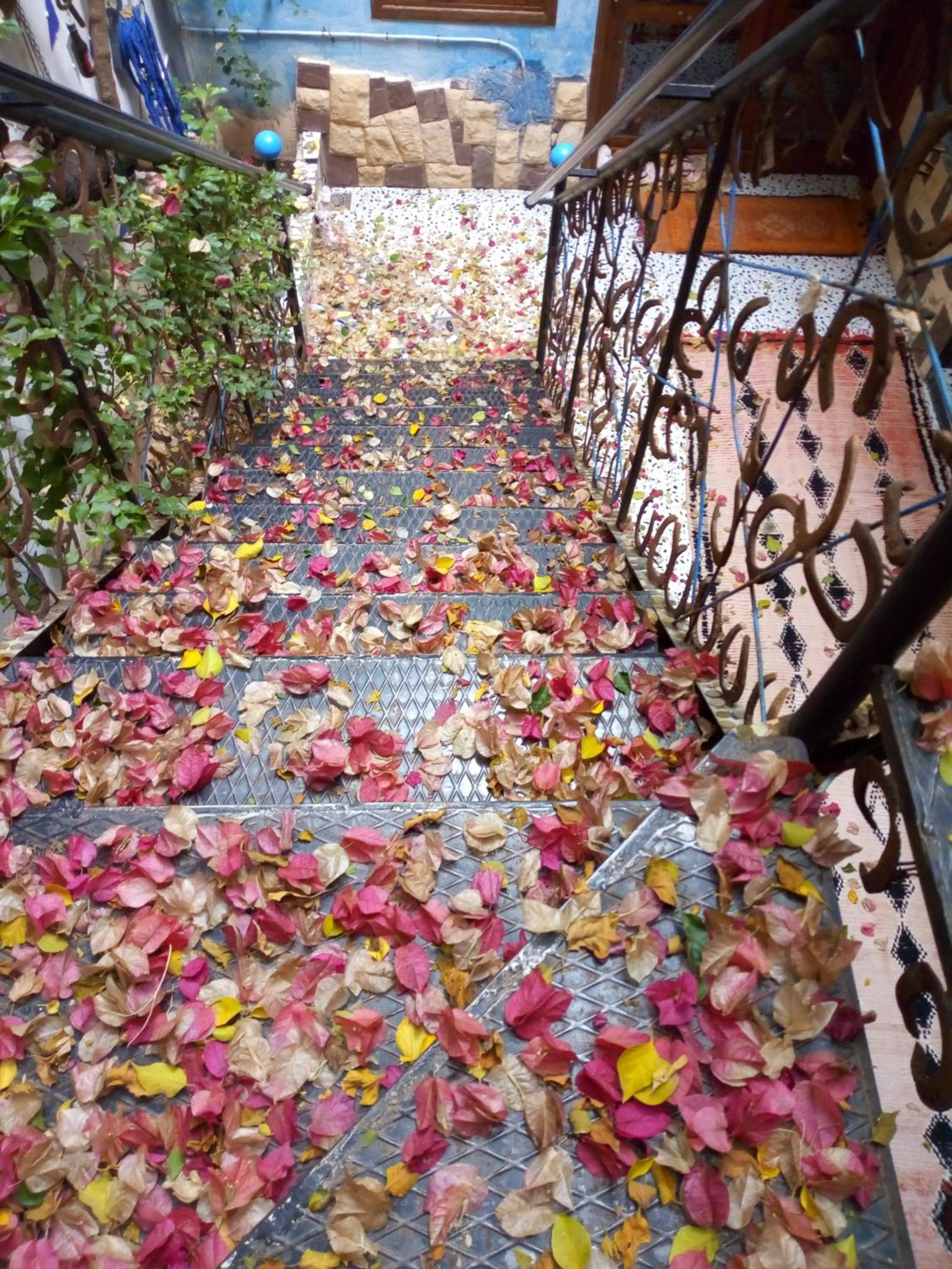 Garden in Maison d'hotes Ait Bou Izryane