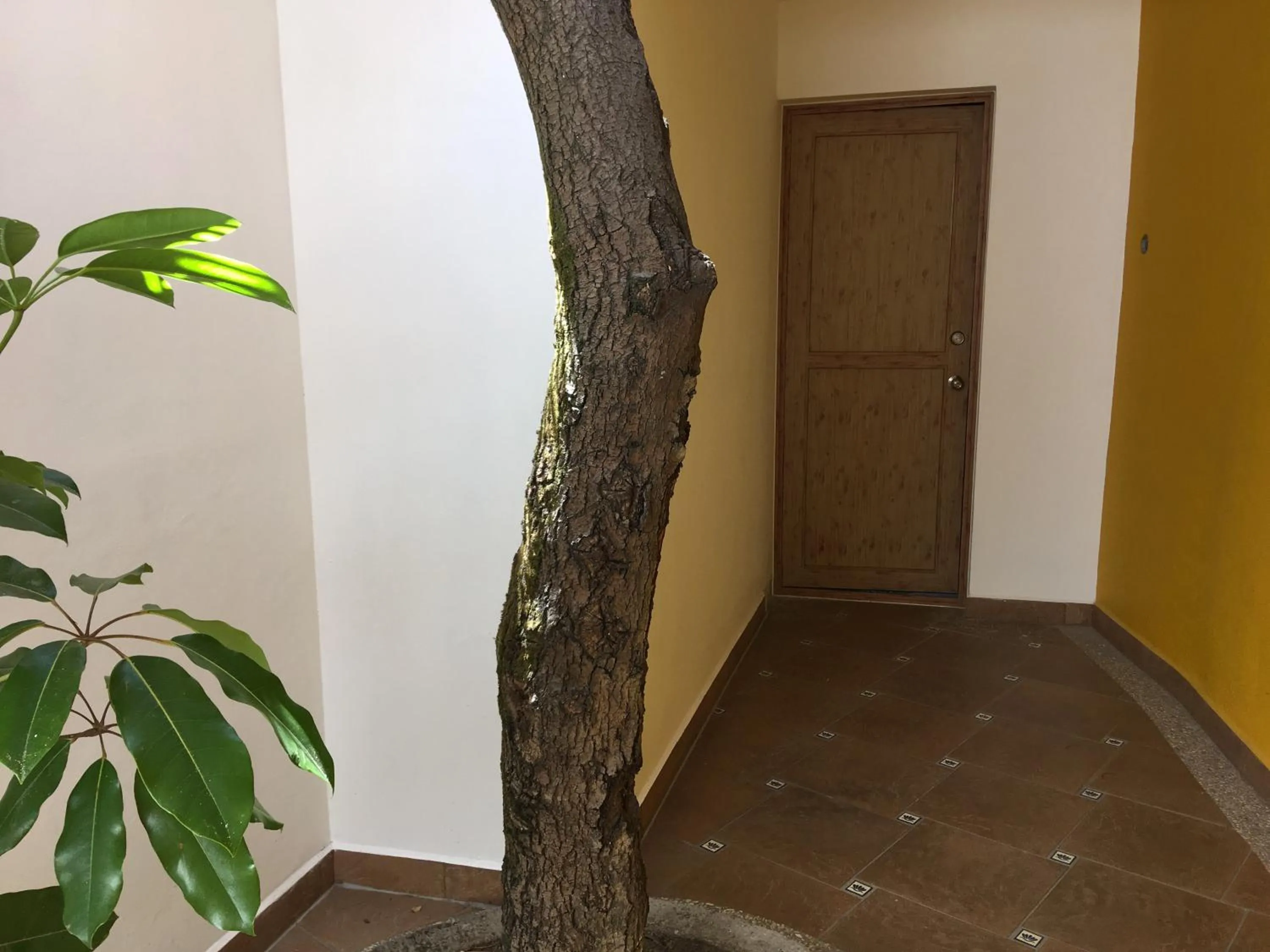 Property building in Casa Cielo
