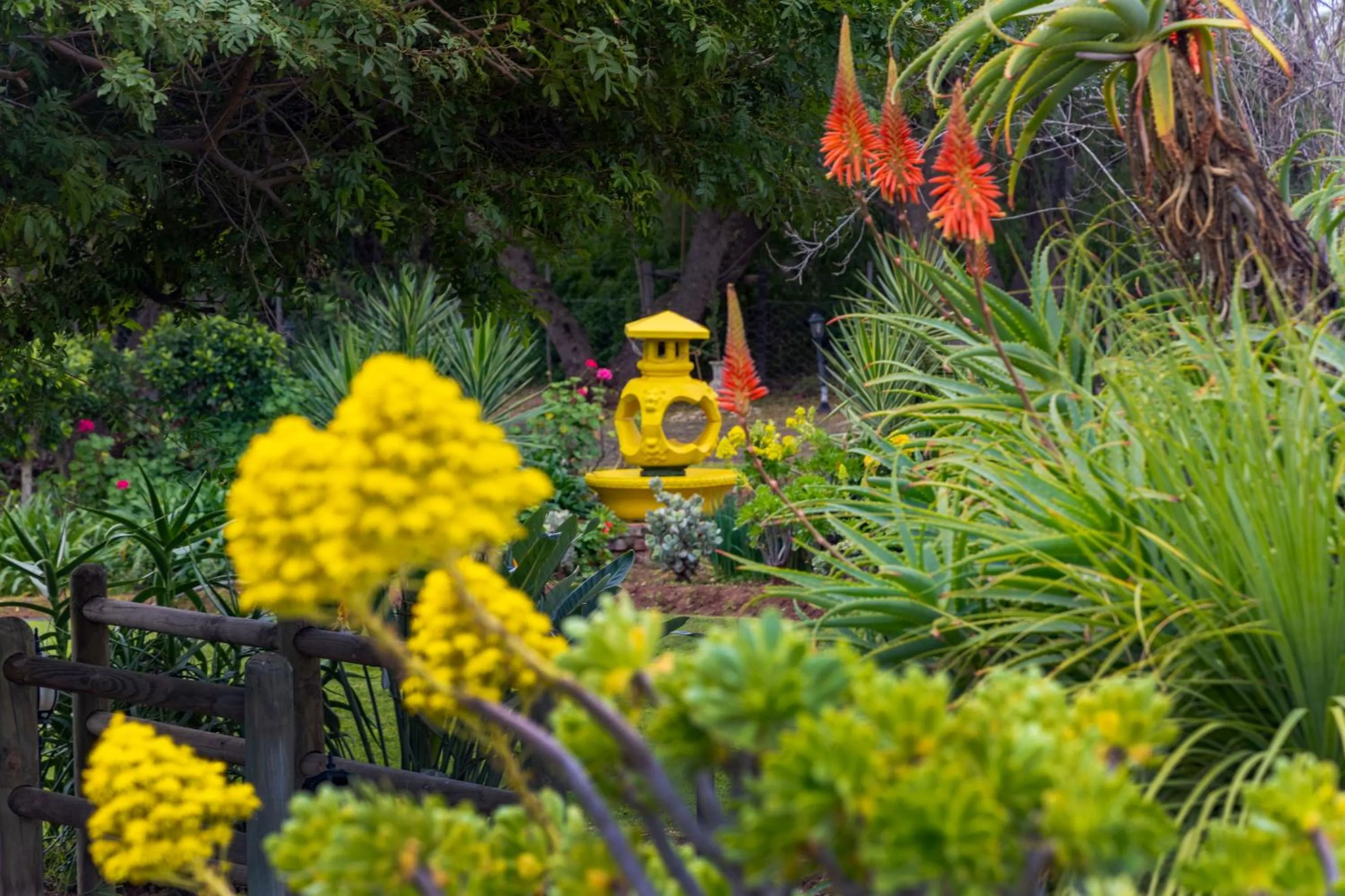 Garden in Thylitshia Villa Country Guest House