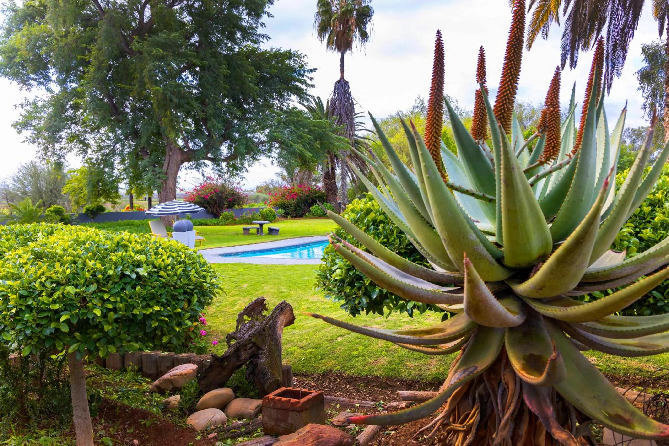 Natural landscape in Thylitshia Villa Country Guest House